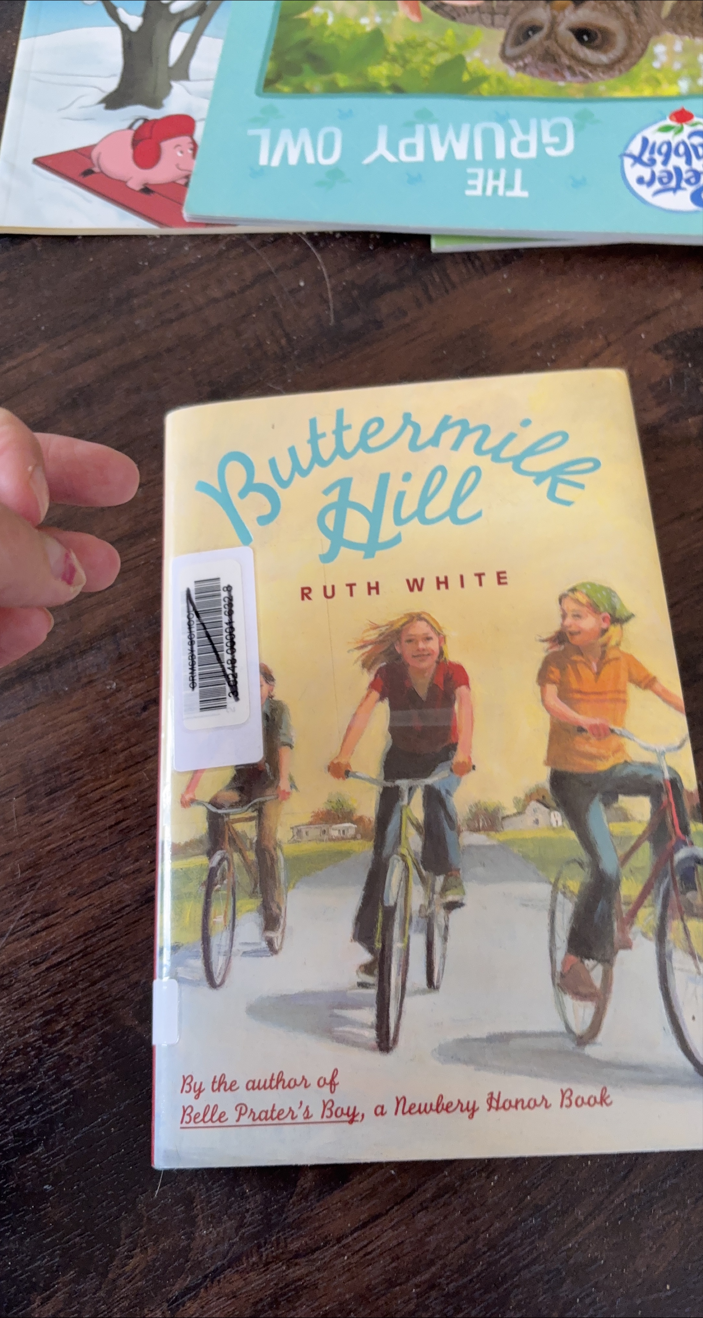 Buttermilk Hill by Ruth White thumbnail