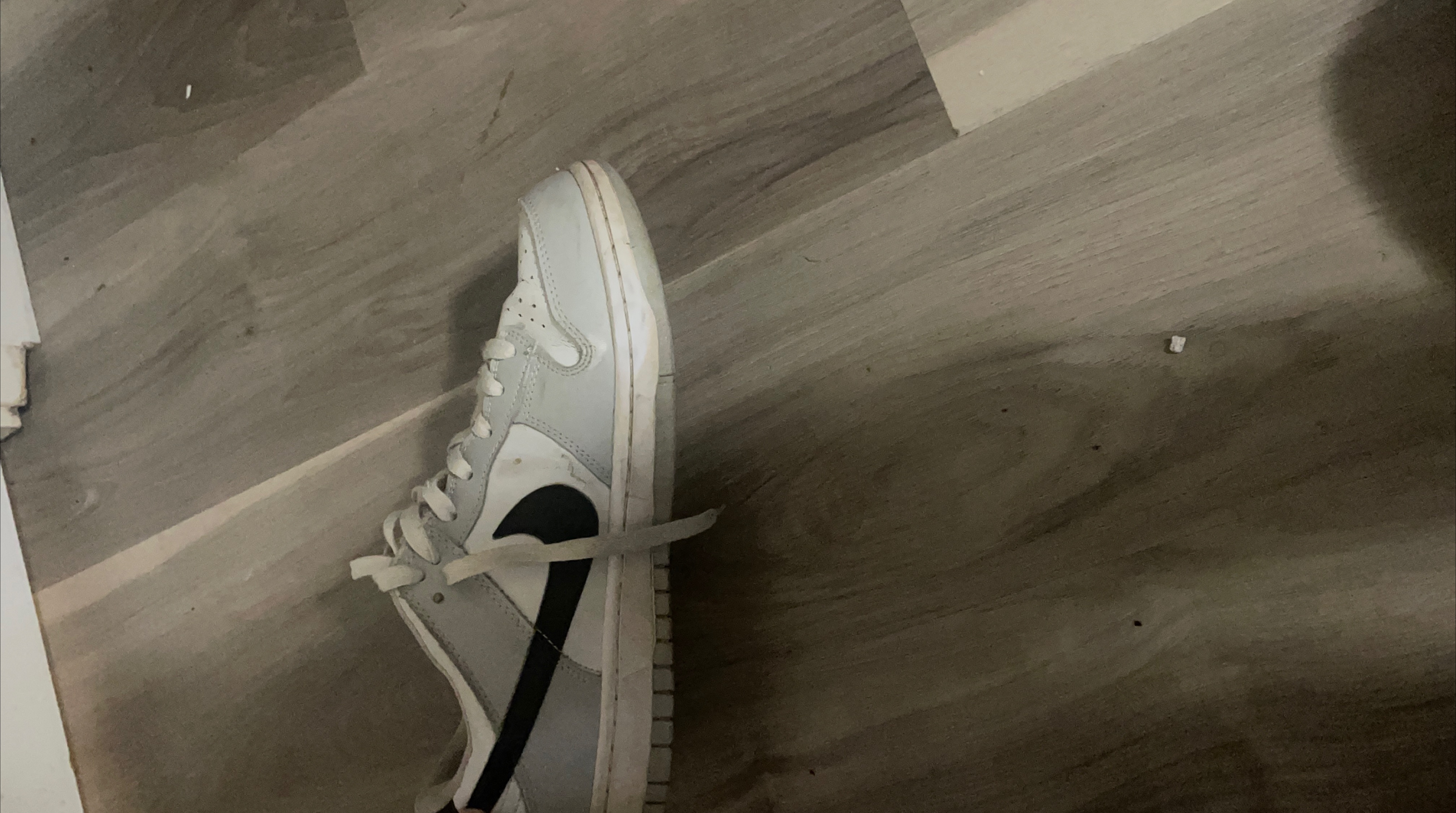 Nike Dunk Low Grey/White thumbnail