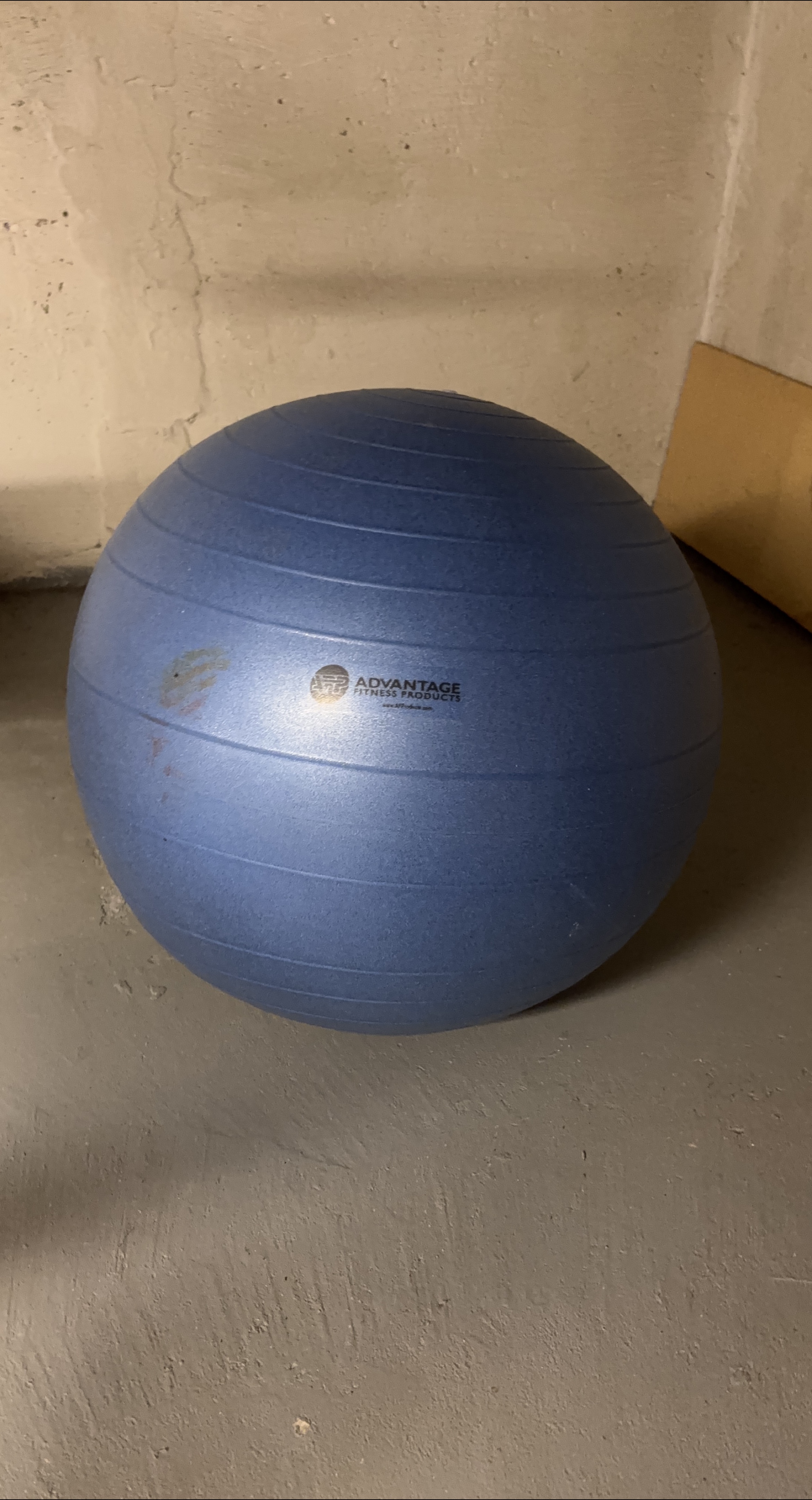 Advantage Fitness Products Exercise Ball image indicator(1)