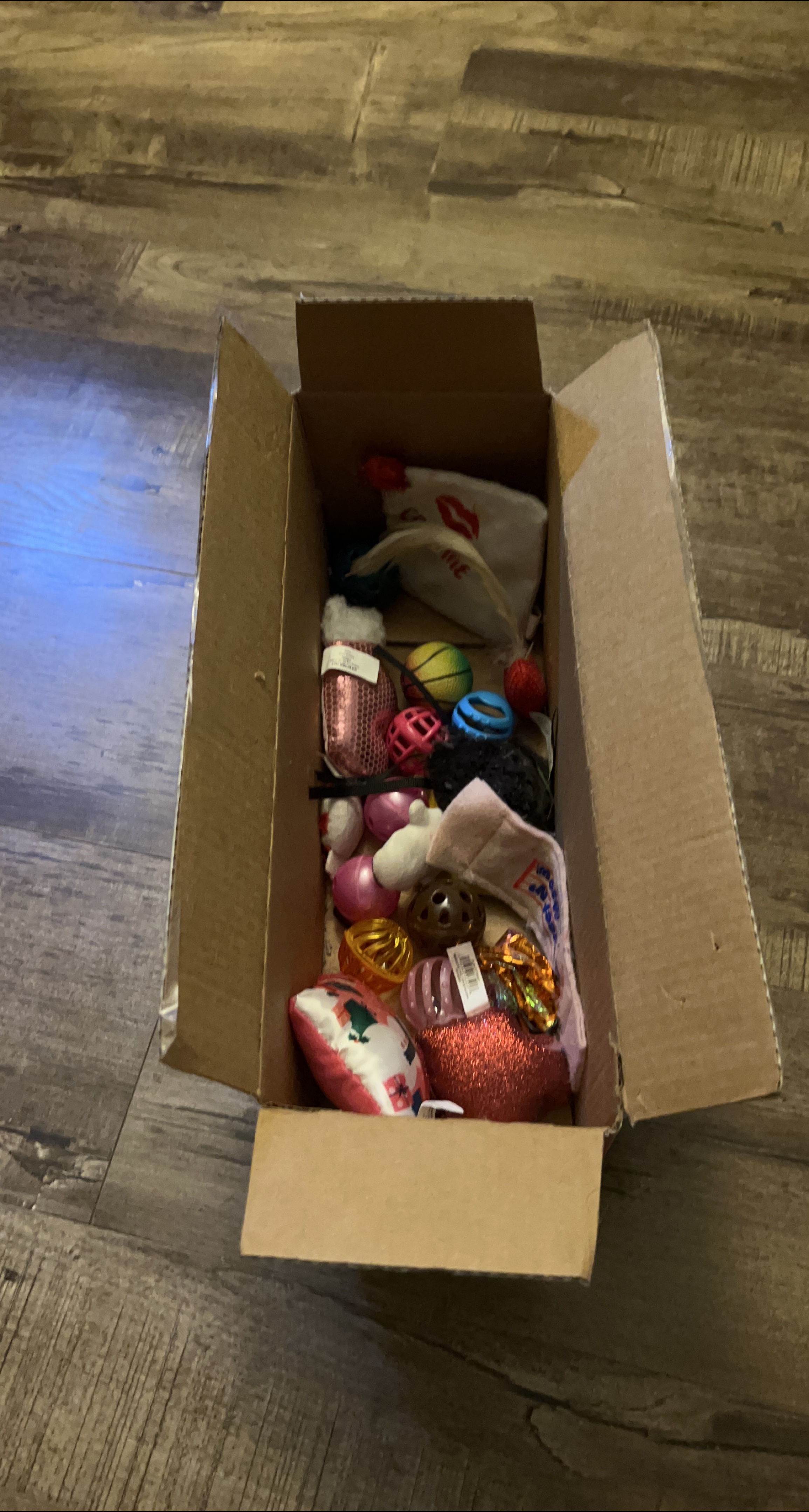 Box of Cat Toys thumbnail