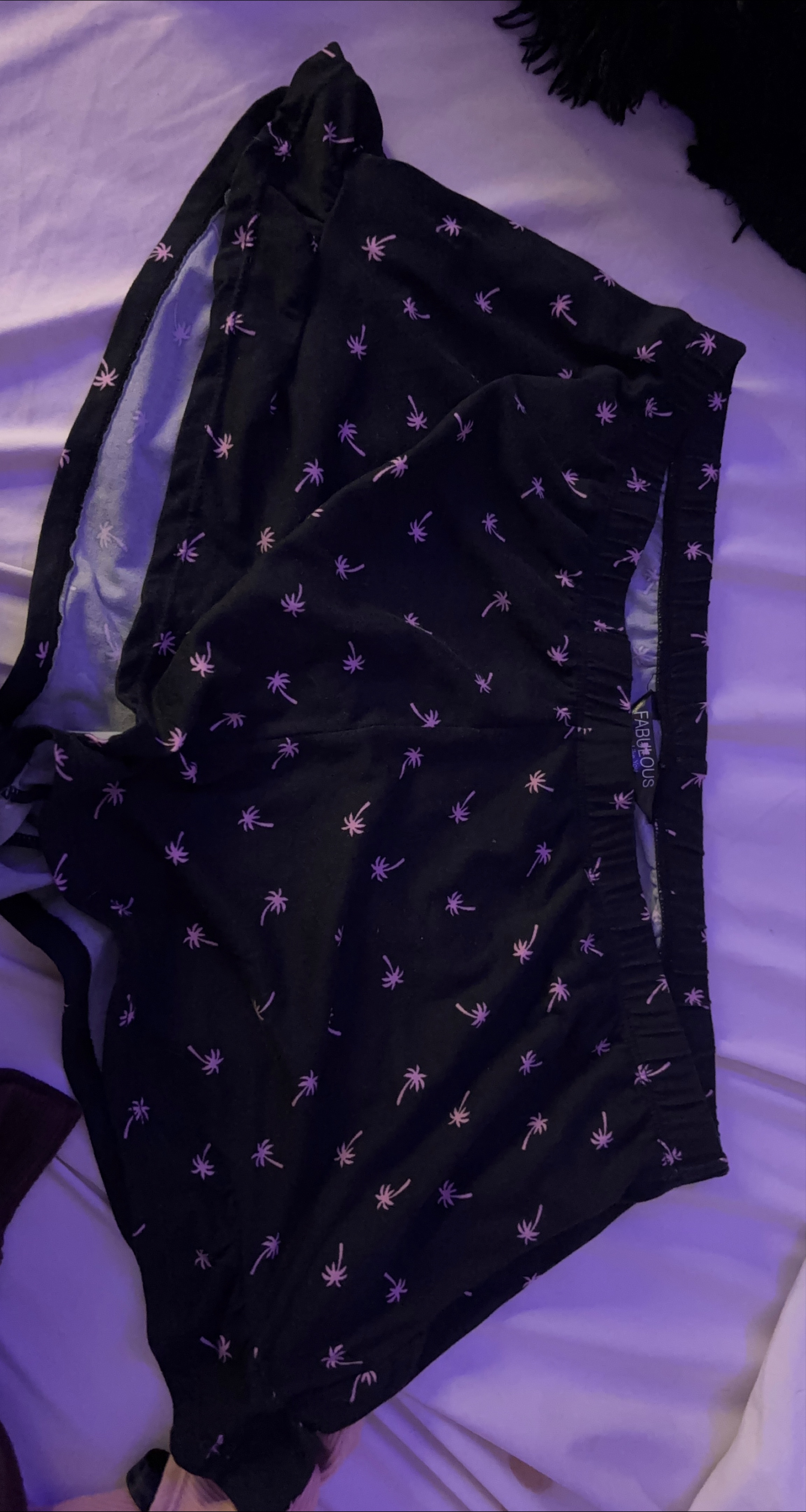 Fabulous Black Palm Tree Print Shorts thumbnail