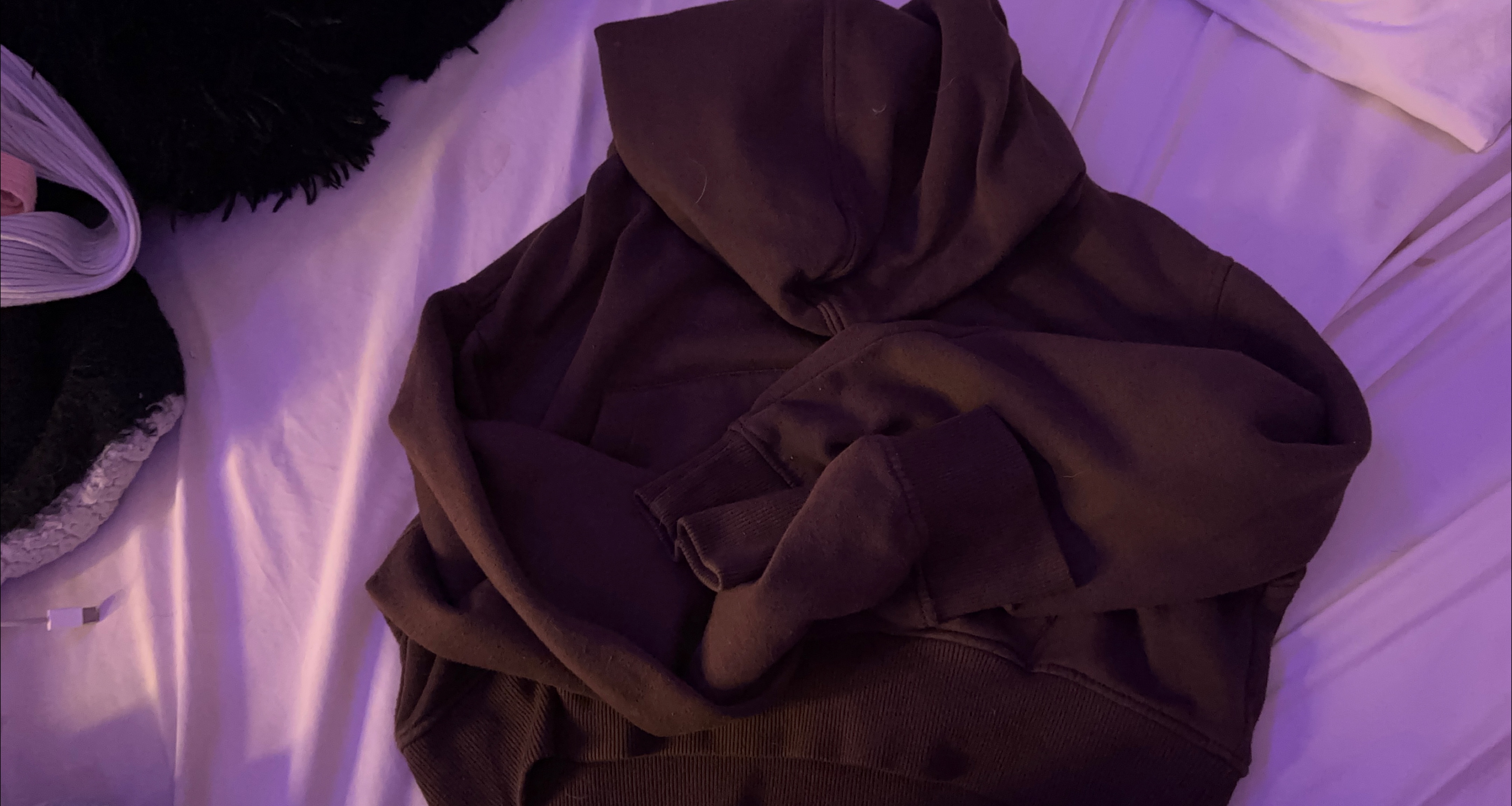 cropped Brown Hoodie thumbnail