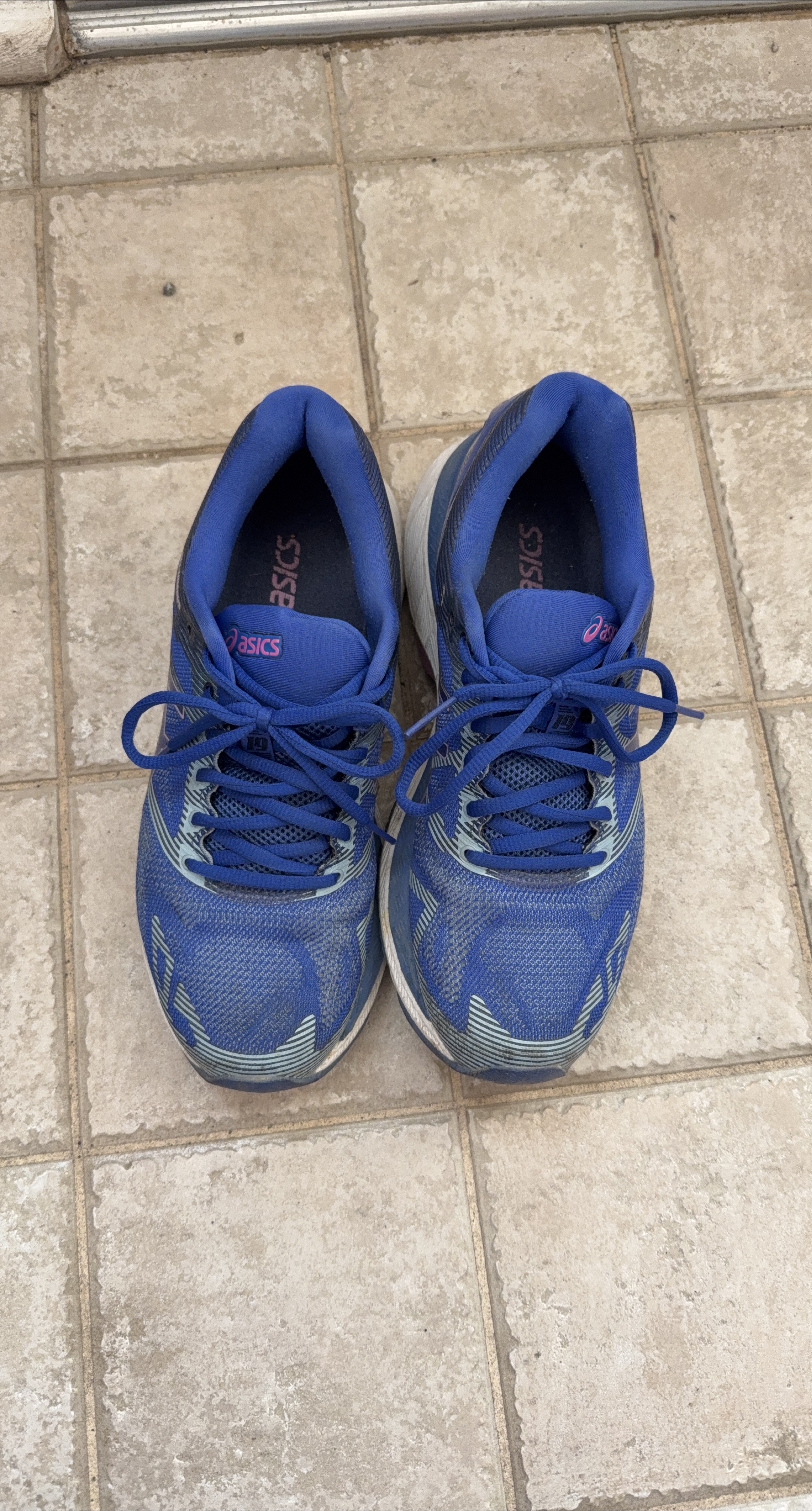 Asics Gel-Nimbus 19 Blue Running Shoes thumbnail