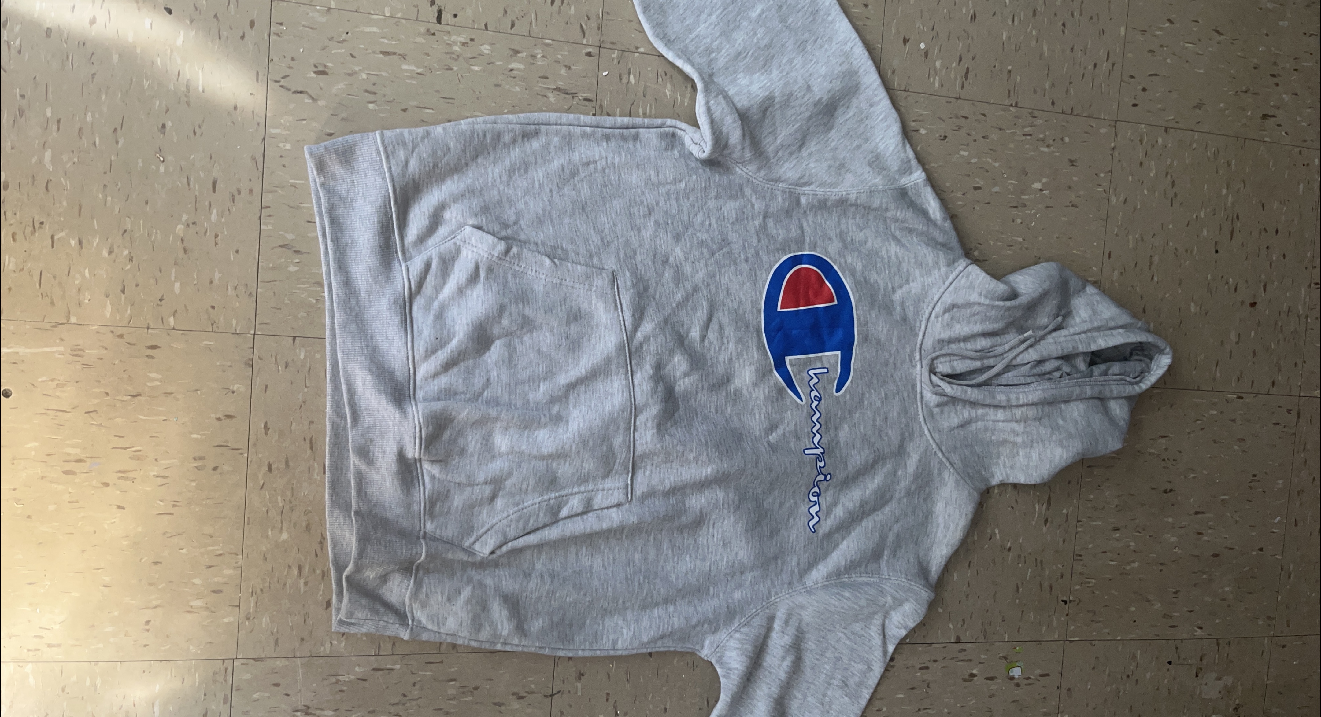 Champion Hoodie - Gray thumbnail