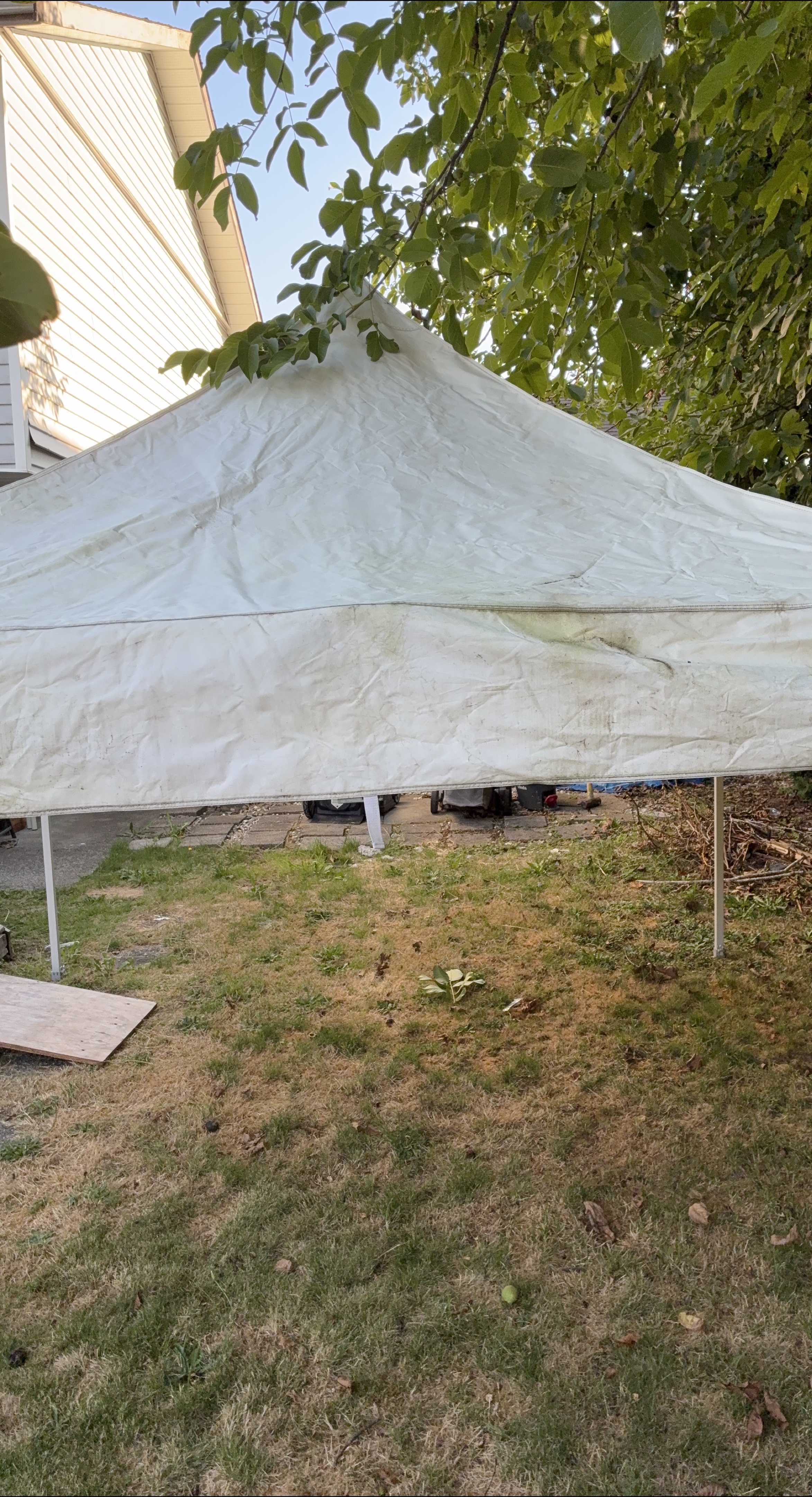 White Tent thumbnail