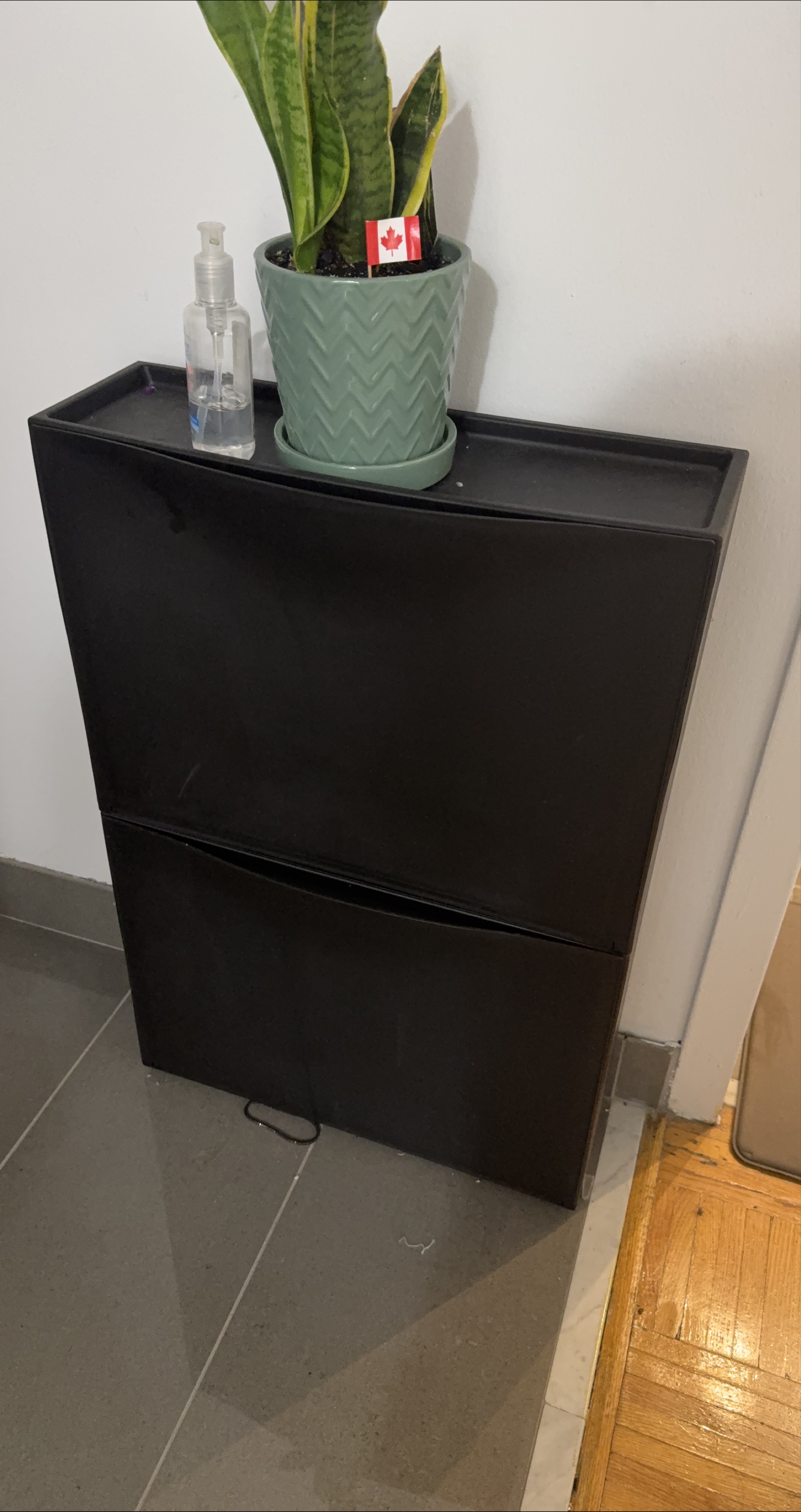 Black Shoe Cabinet