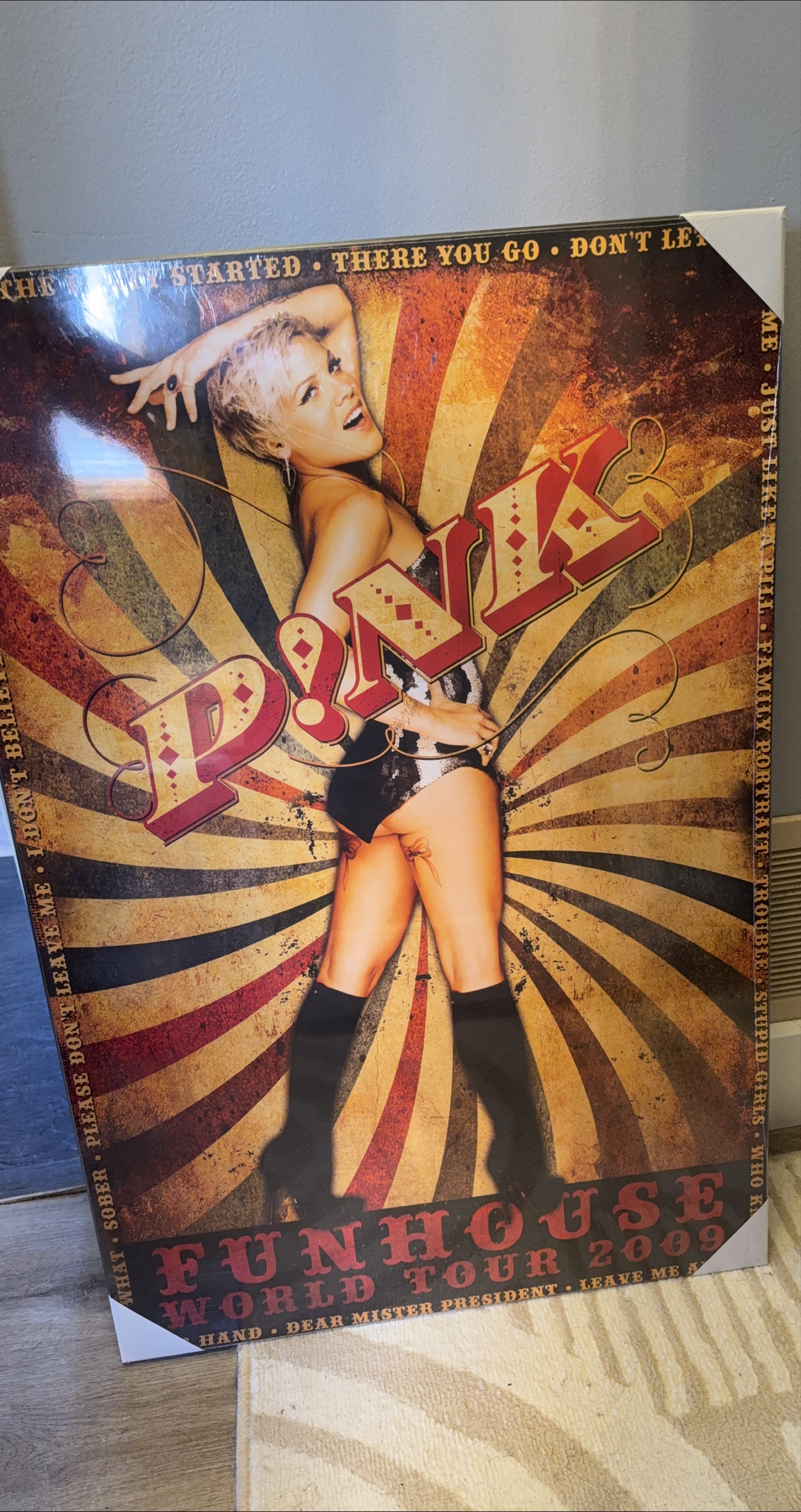 P!NK Funhouse World Tour 2009 Wall Art