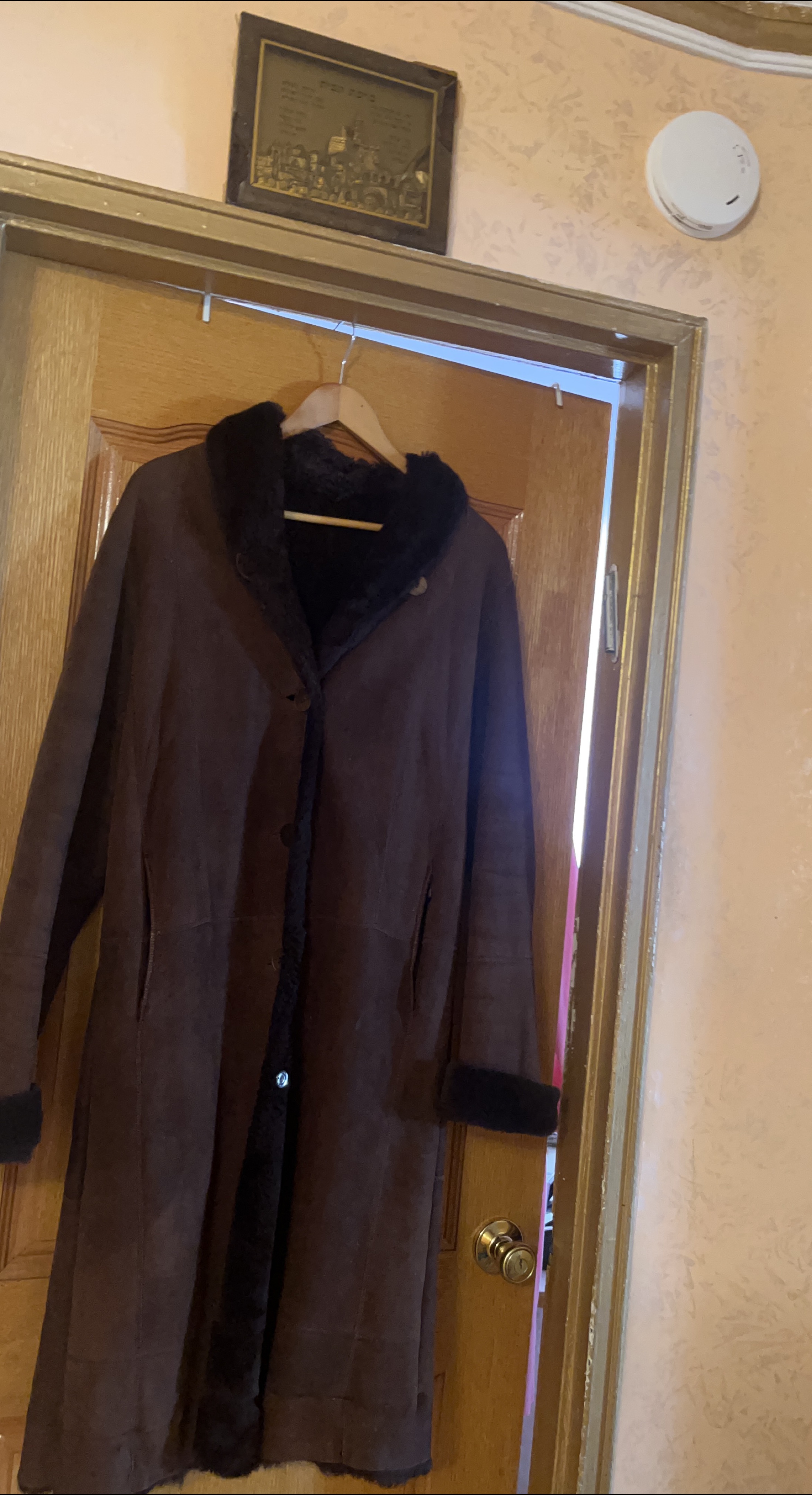 Brown Shearling Coat thumbnail