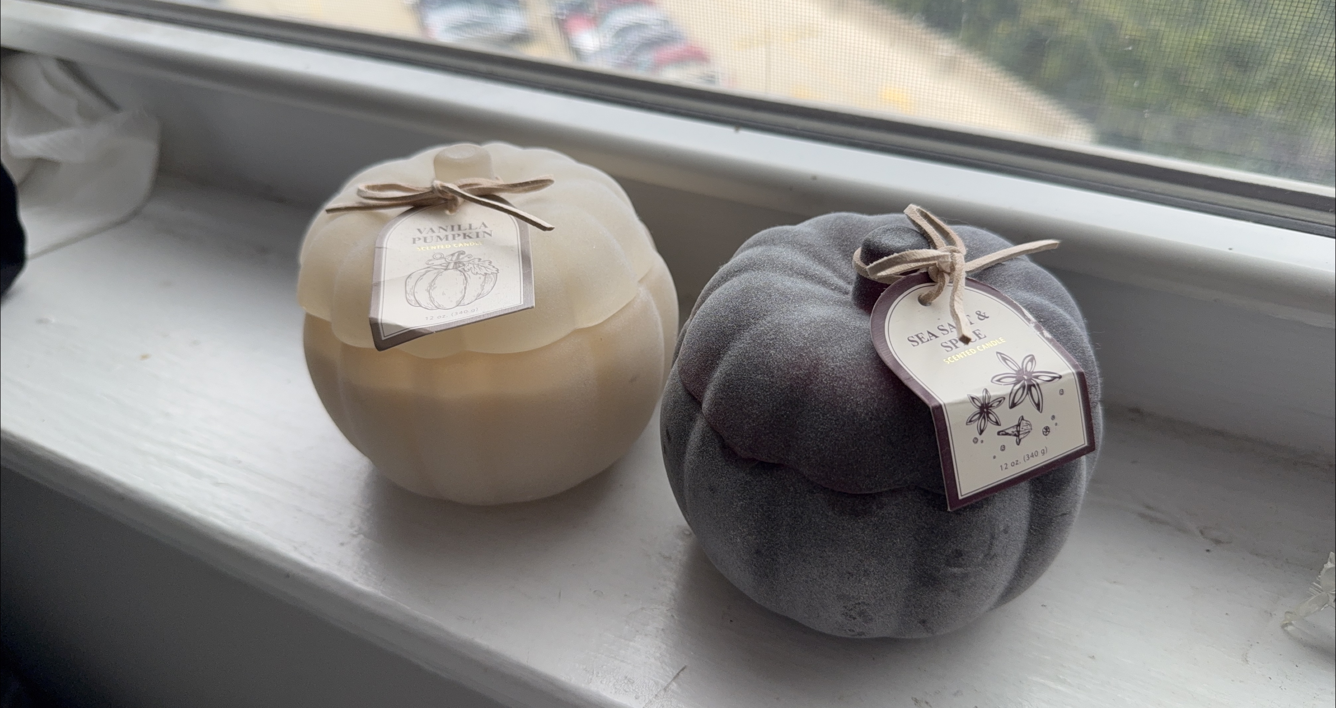 Vanilla Pumpkin & Sea Salt & Spice Scented Candles thumbnail