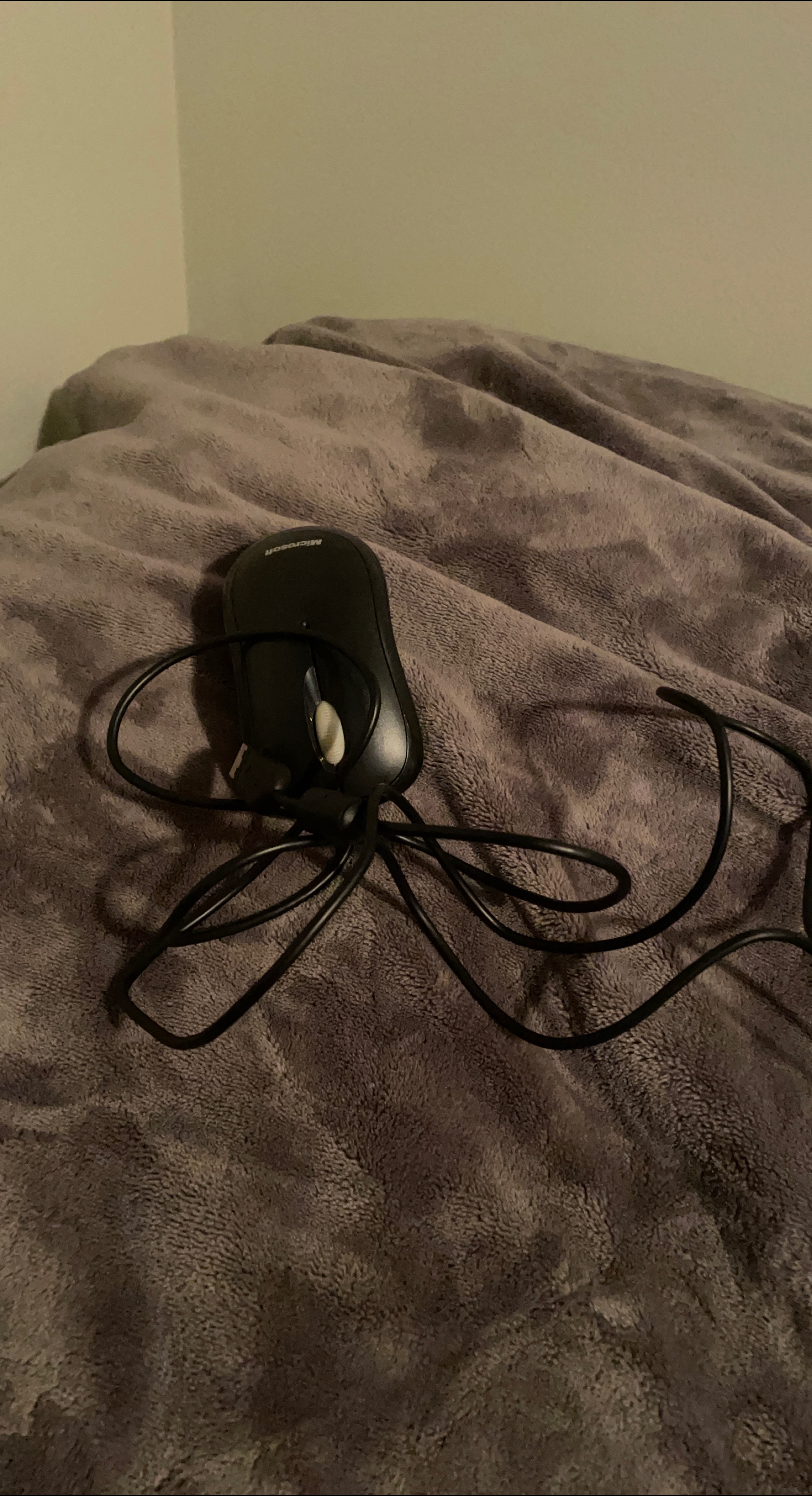 Microsoft Mouse - Black