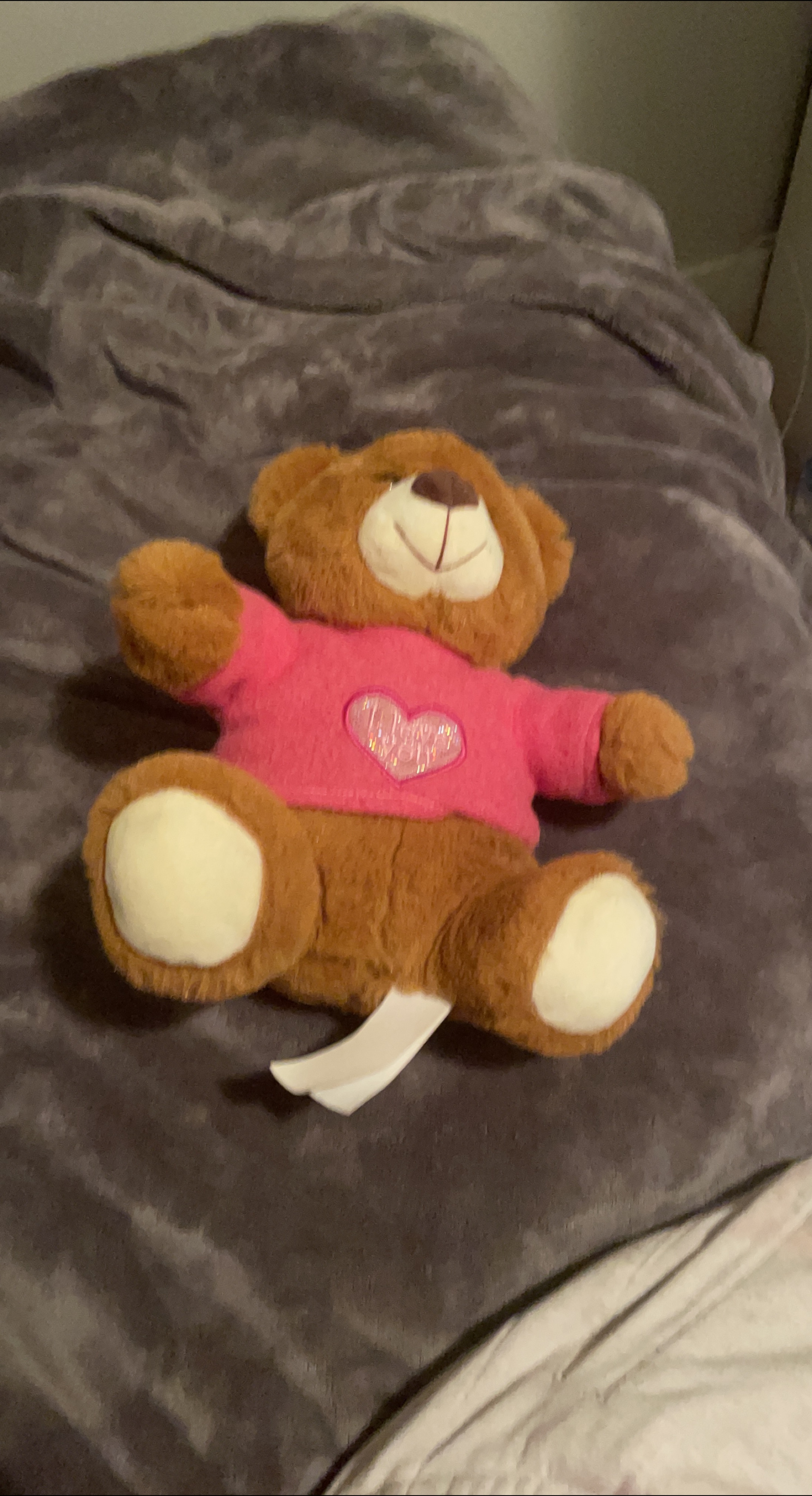 Brown Teddy Bear with Pink Shirt