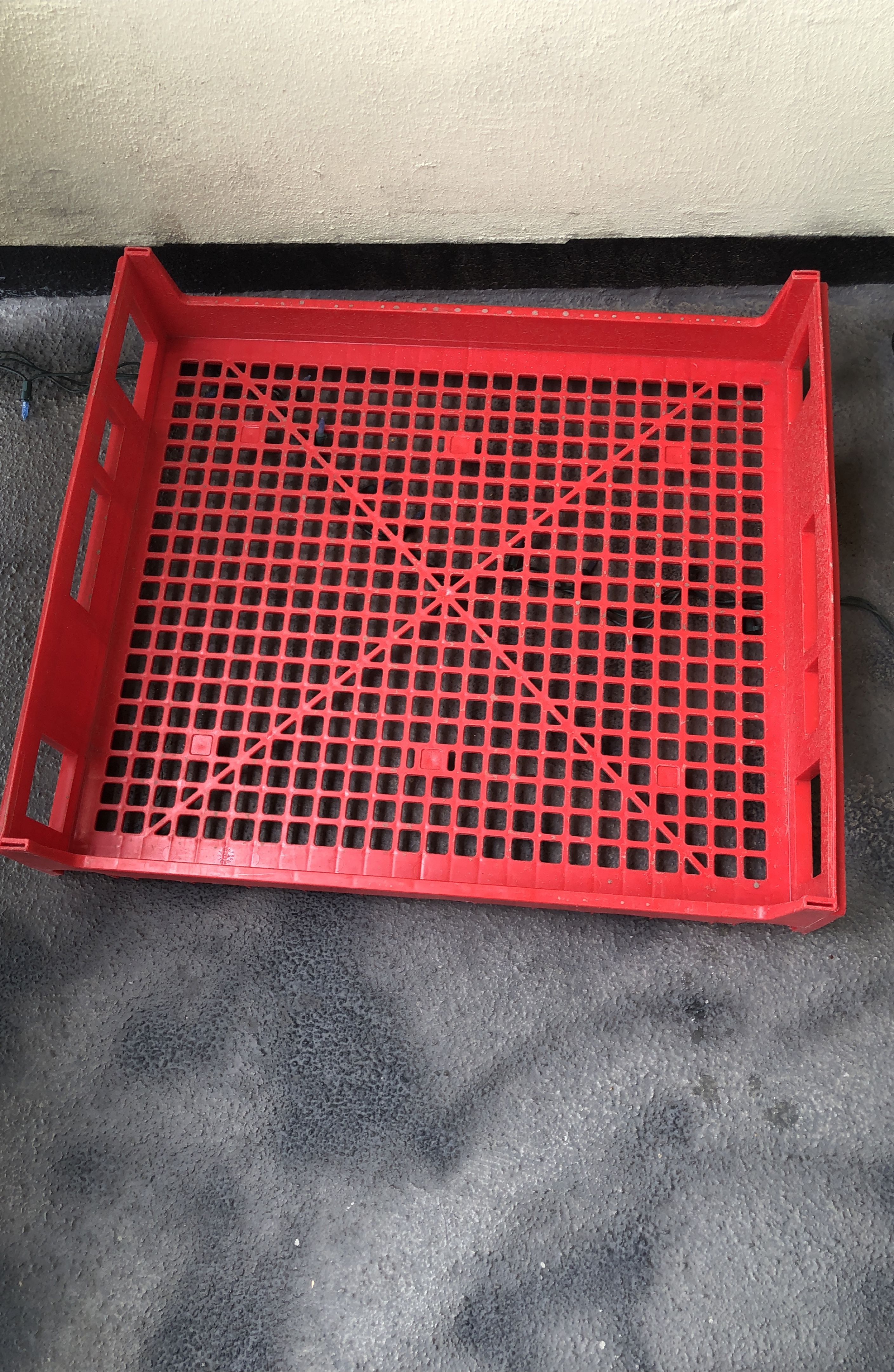 Red Plastic Crate thumbnail