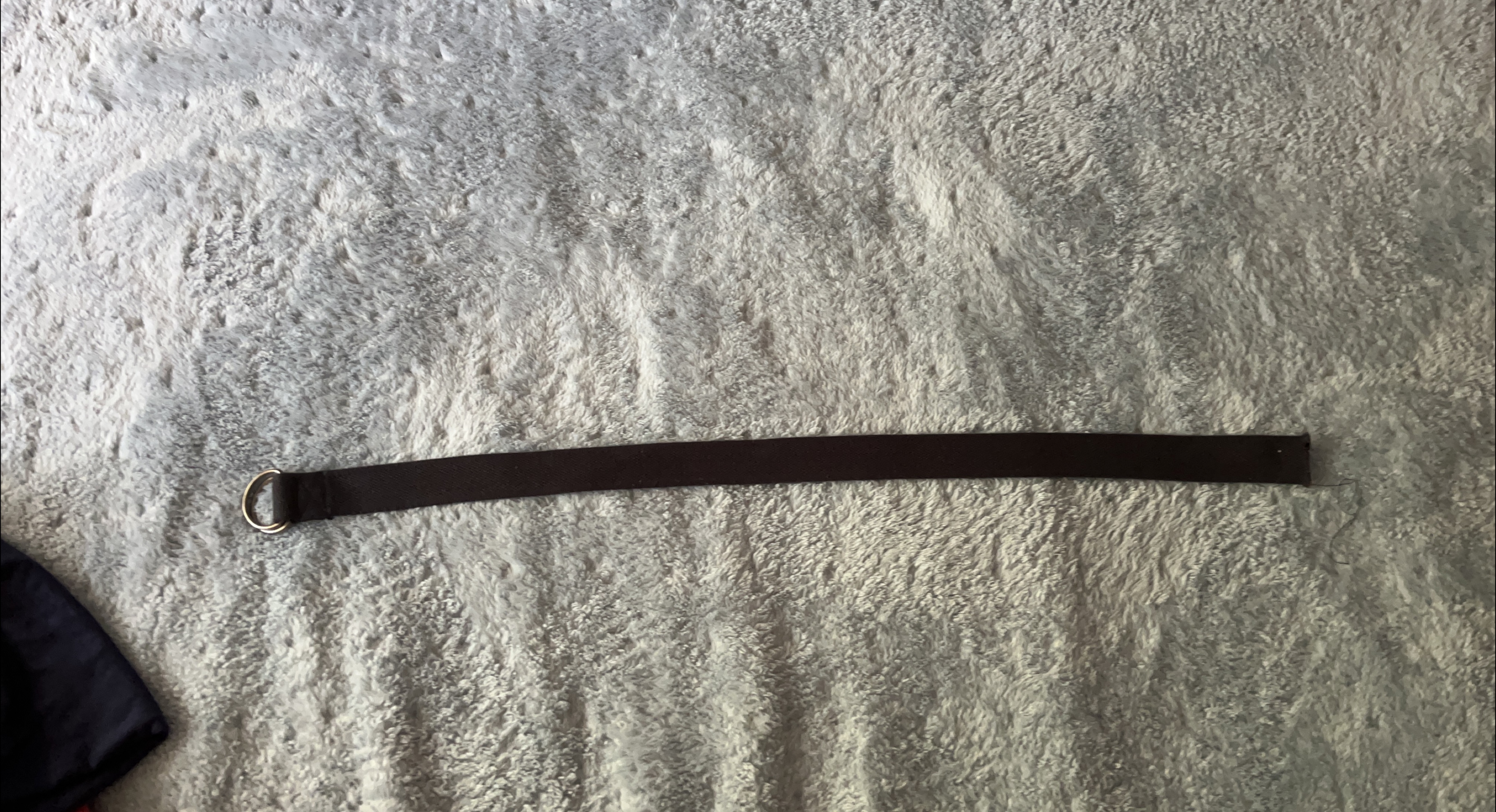 Black Belt with Silver Ring thumbnail