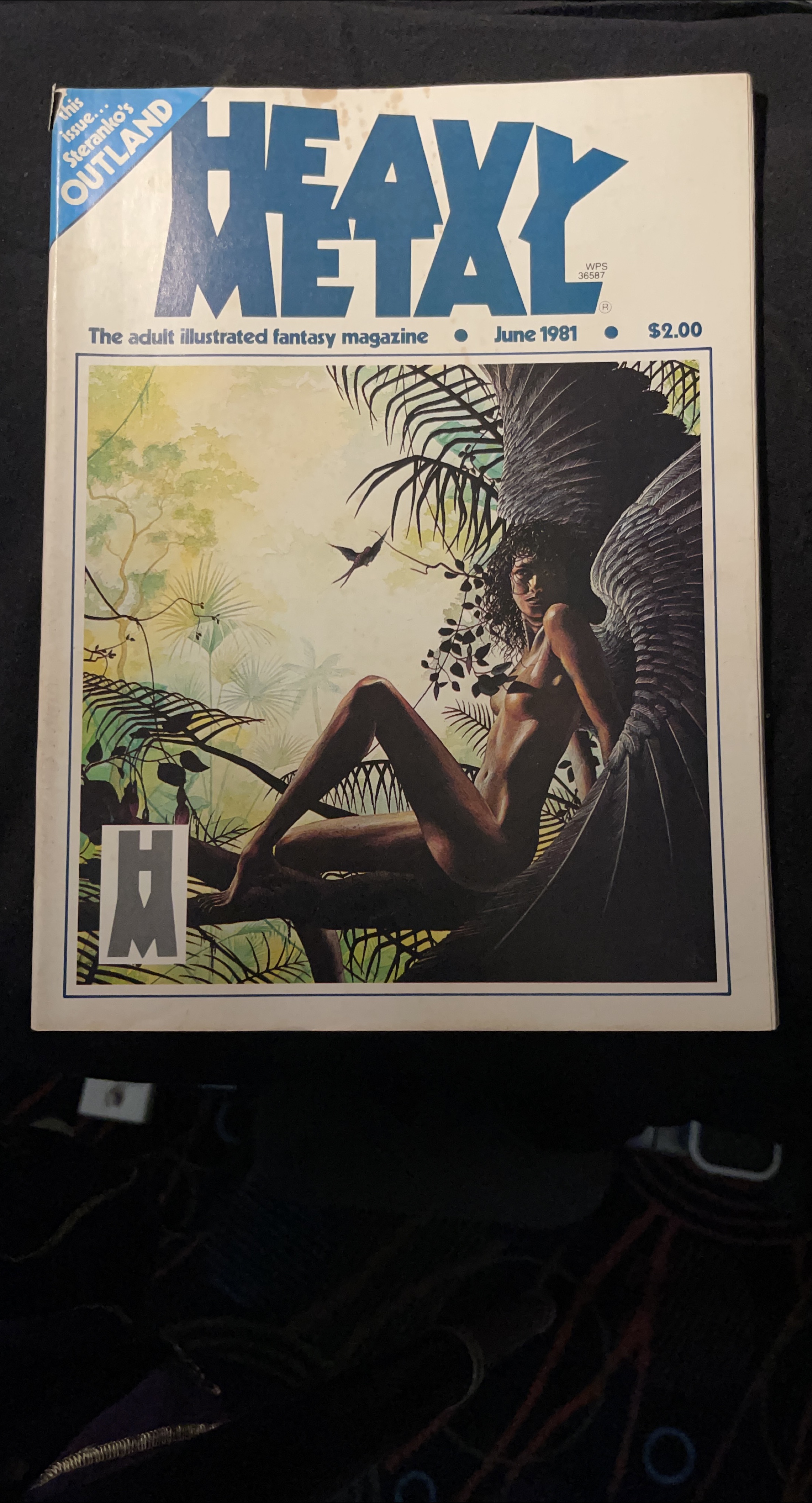 Heavy Metal Magazine - June 1981 thumbnail