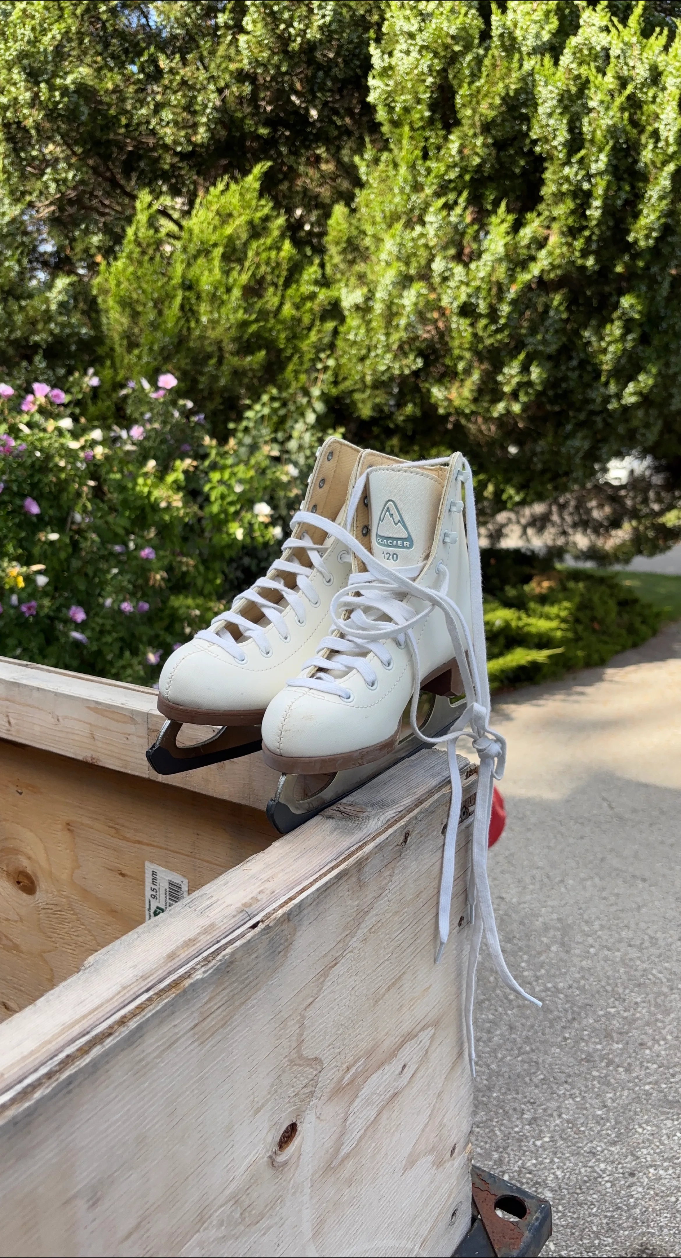 Glacier 120 Ice Skates