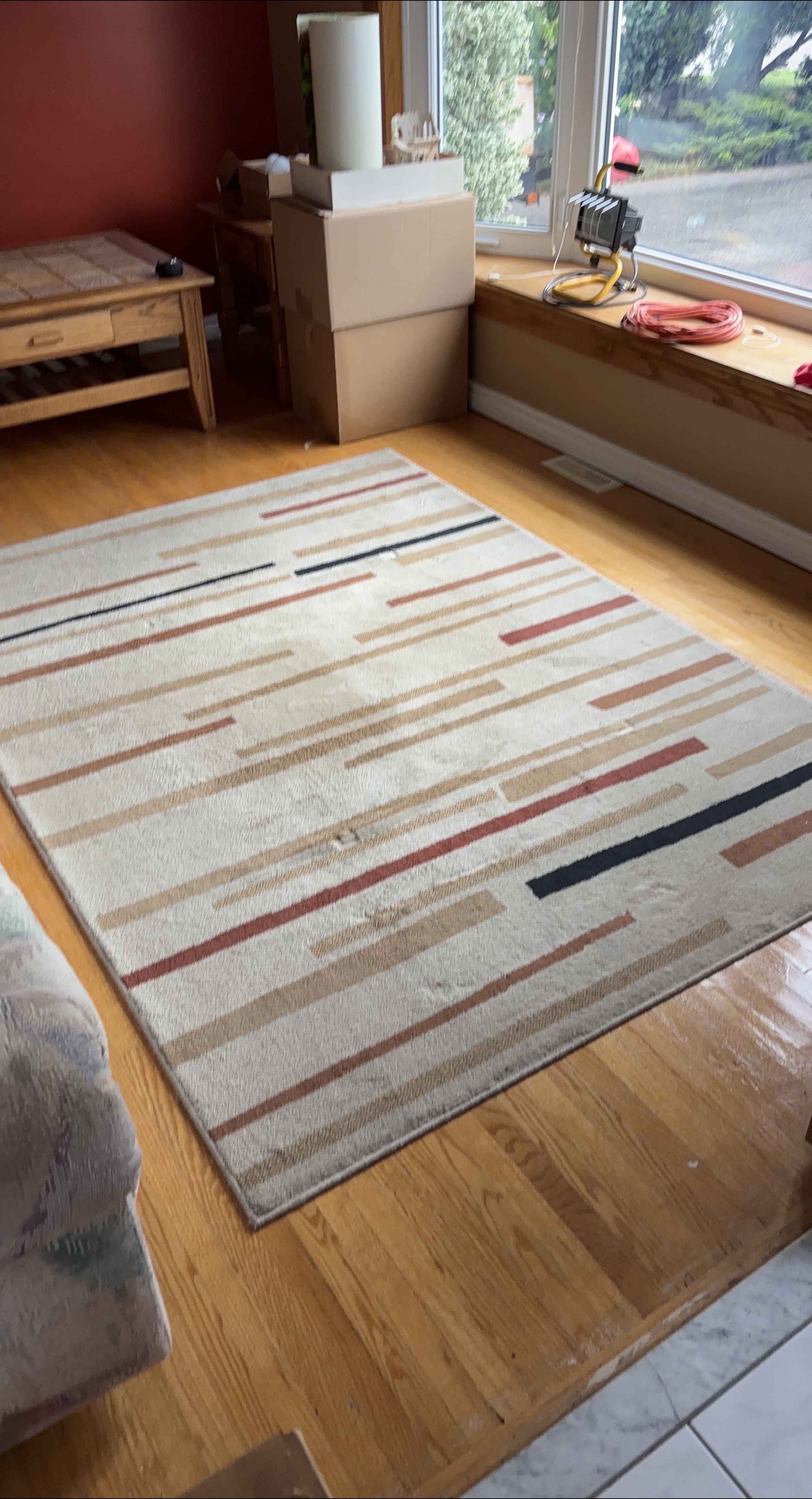 Korhani Area Rug thumbnail