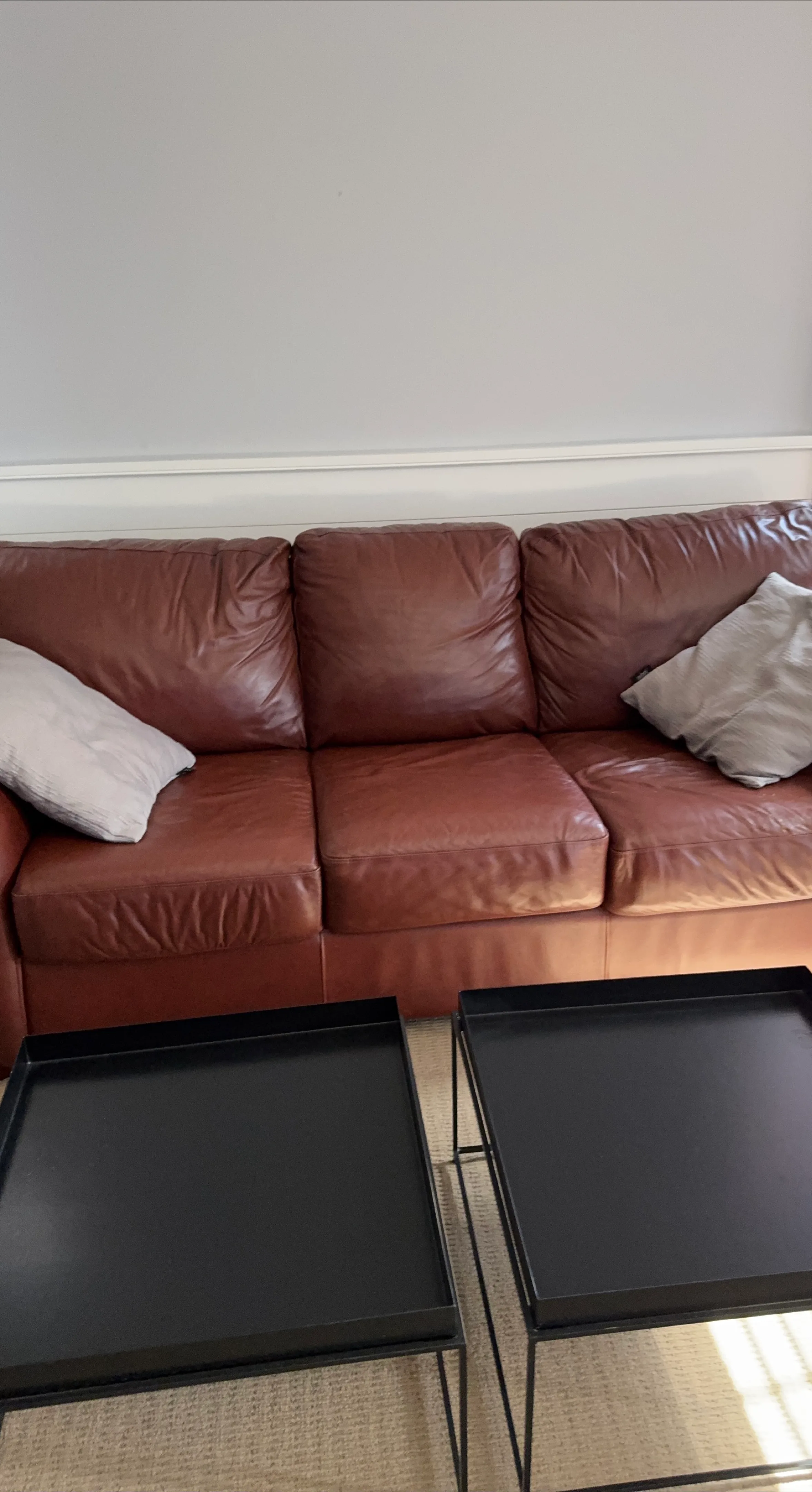 Leather Sofa