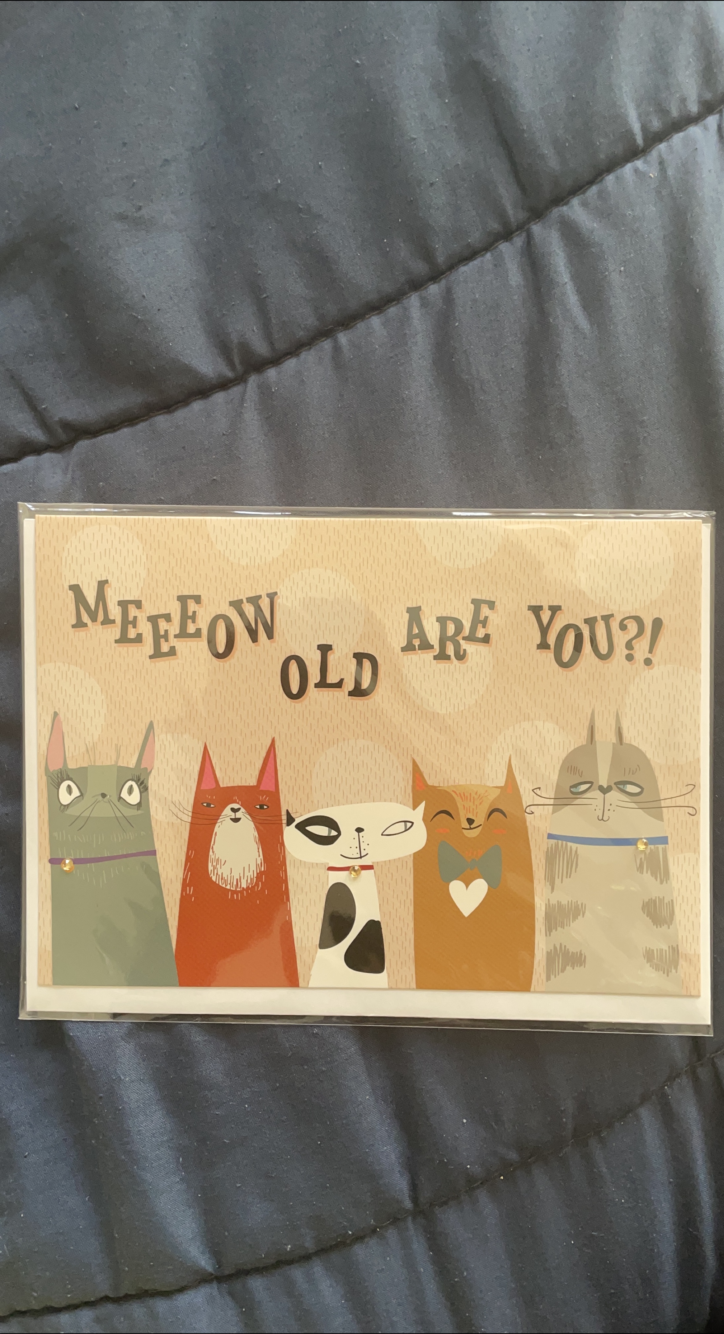 Greeting Card - Meow Old Are You? (with envelope) thumbnail