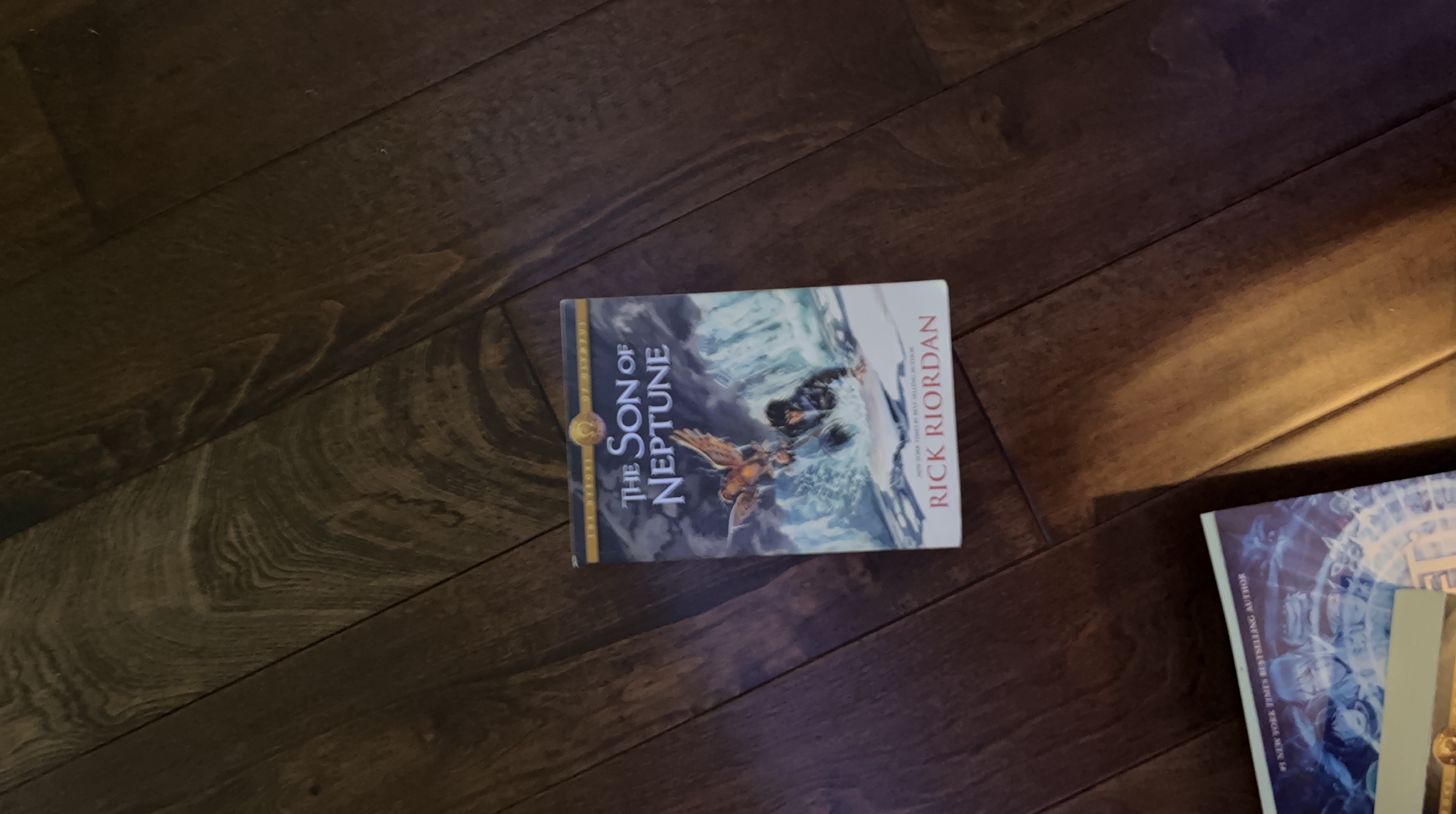 The Son of Neptune by Rick Riordan thumbnail
