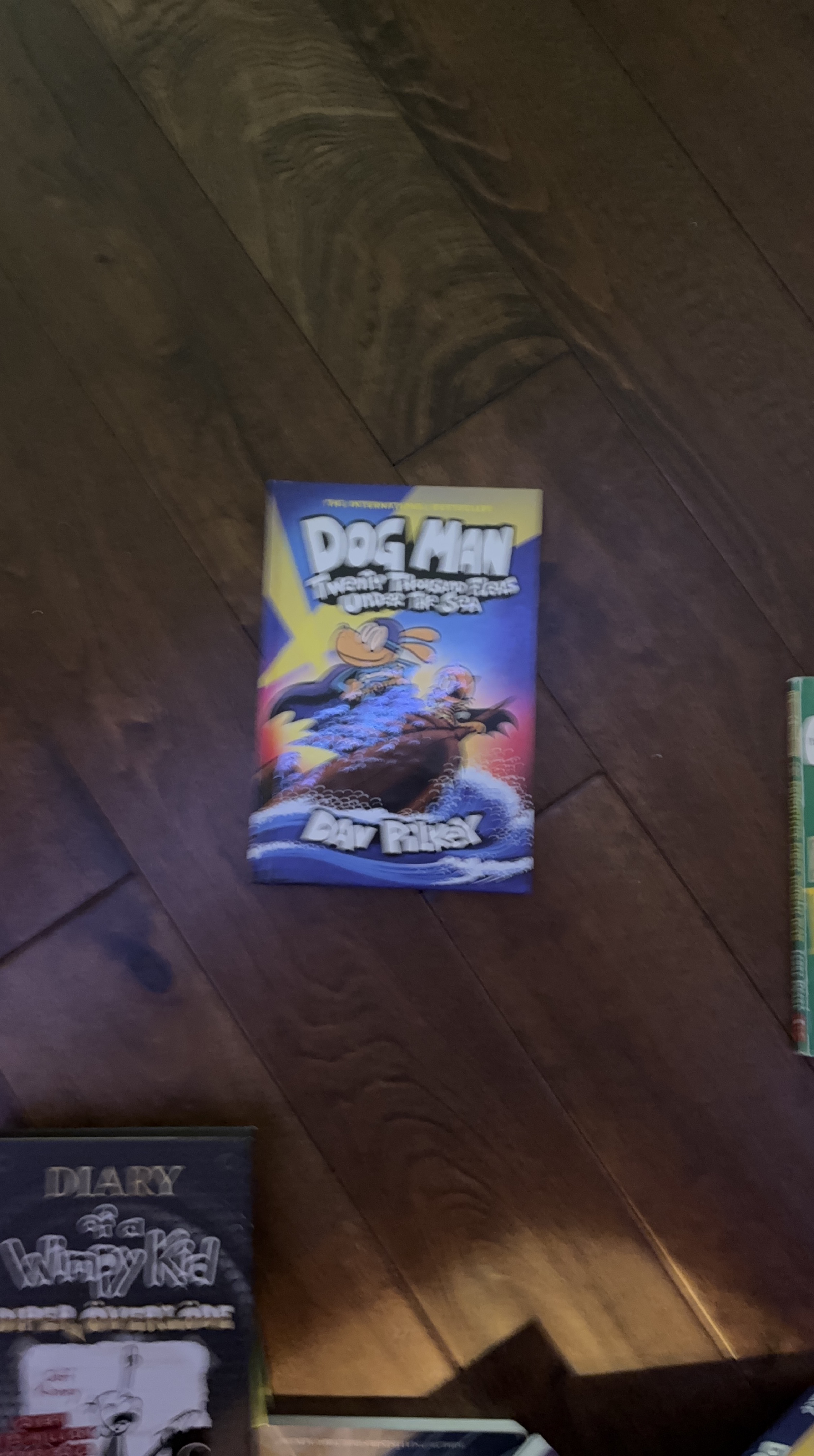Dog Man Twenty Thousand Fleas Under the Sea by Dav Pilkey thumbnail