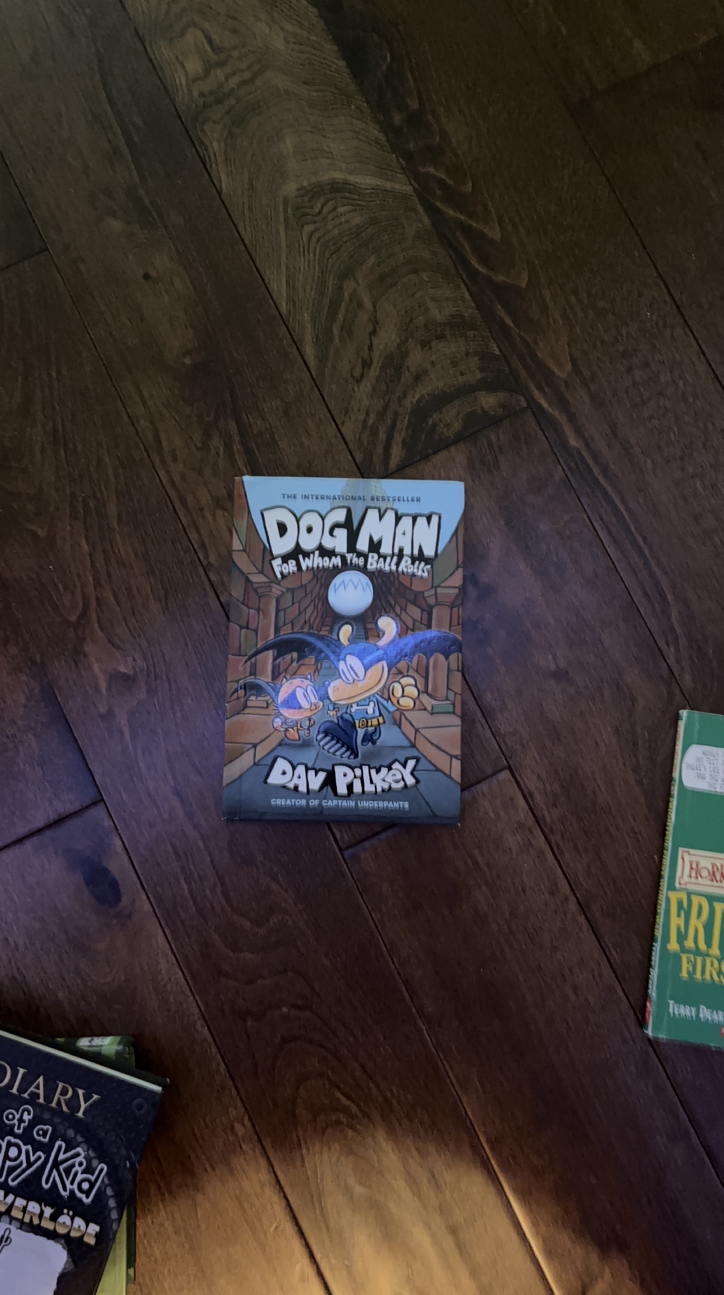 Dog Man: For Whom the Ball Rolls thumbnail