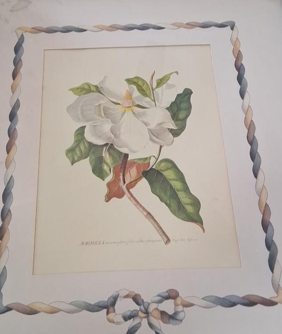 Magnolia Print with Decorative Frame thumbnail