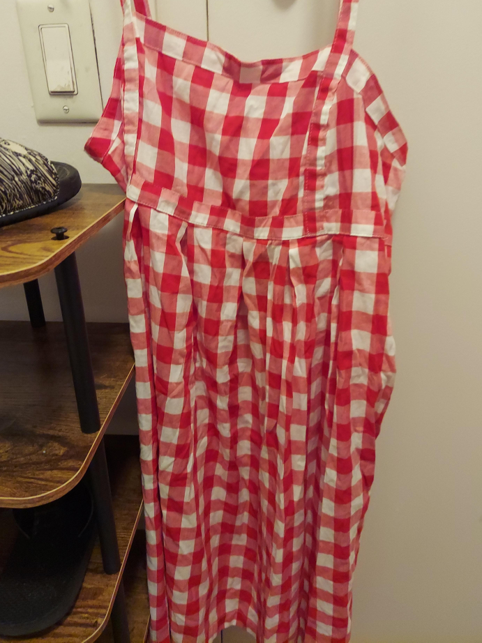 Red & White Gingham Dress thumbnail