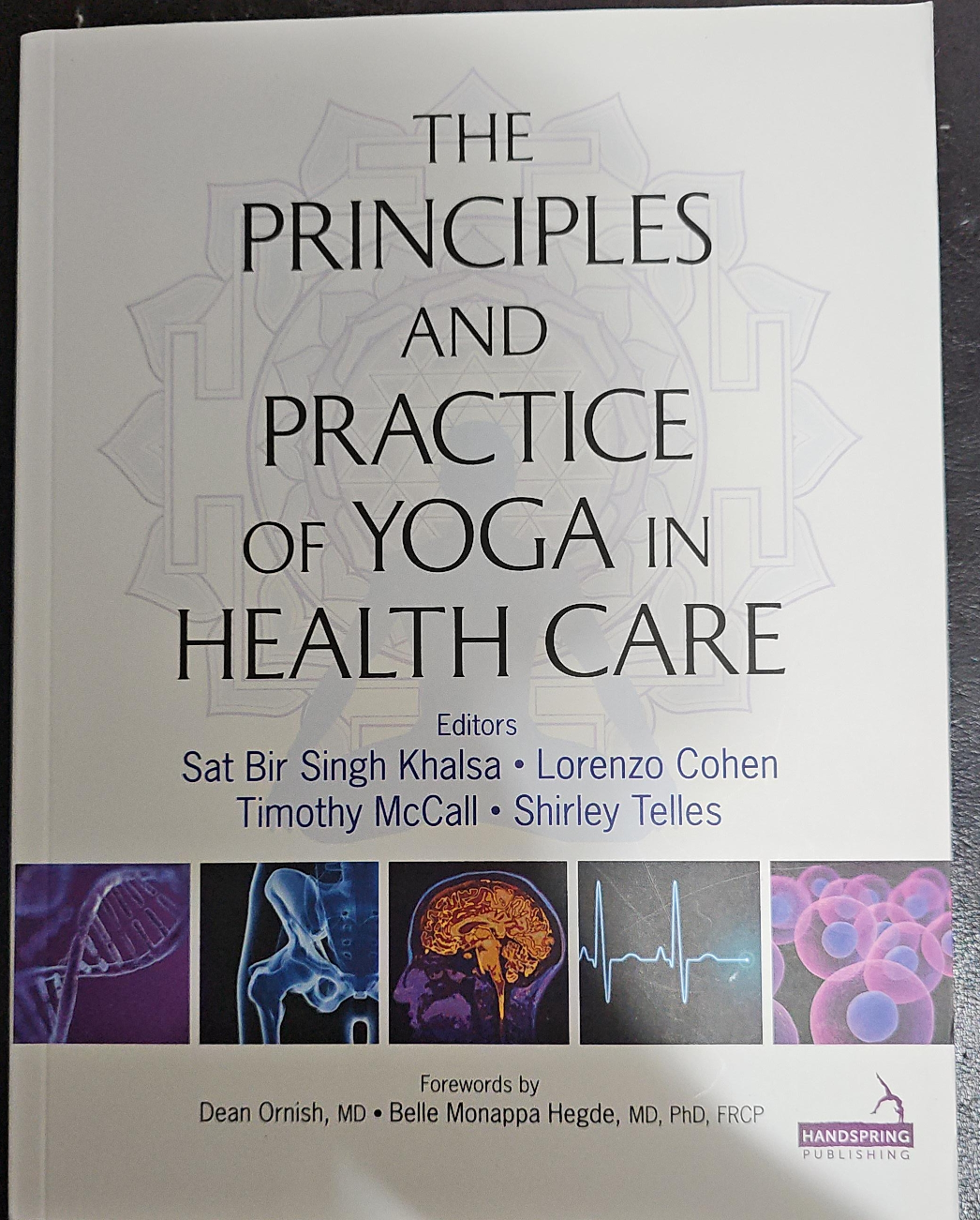 The Principles and Practice of Yoga in Health Care thumbnail