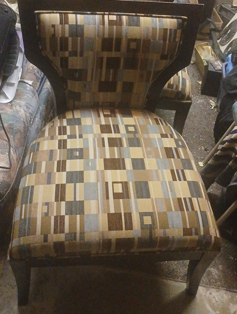 Patterned Accent Chair thumbnail