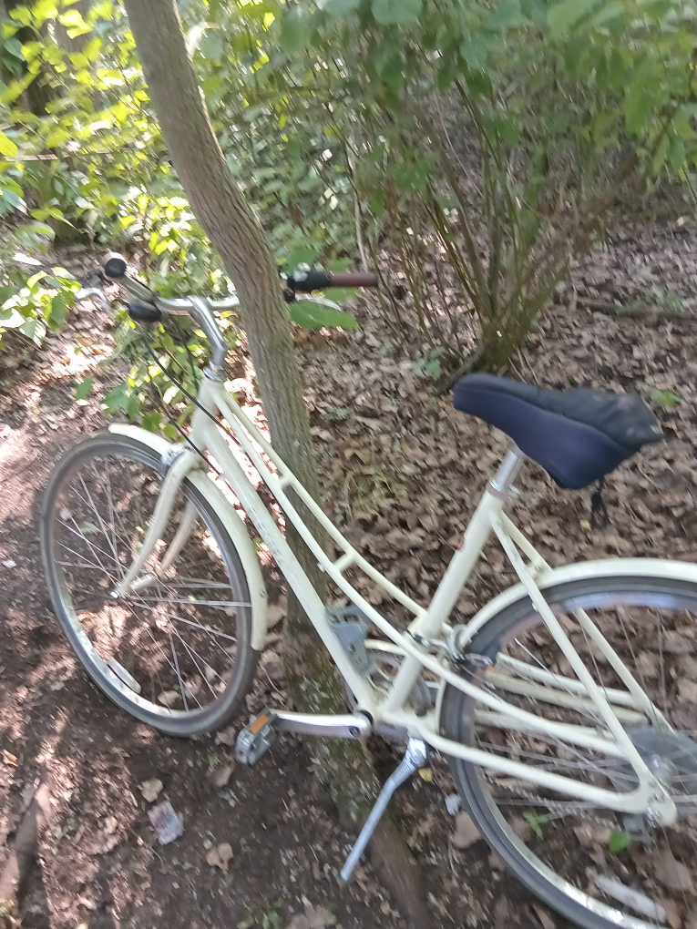 Electra bike thumbnail