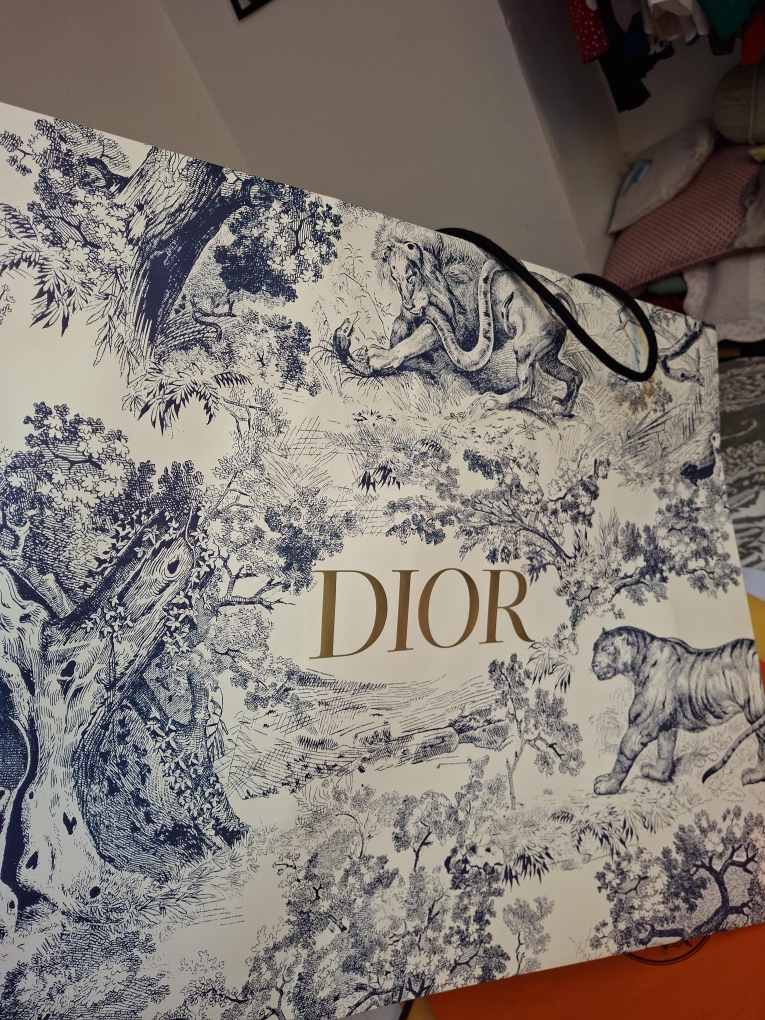 Dior Shopping Bag