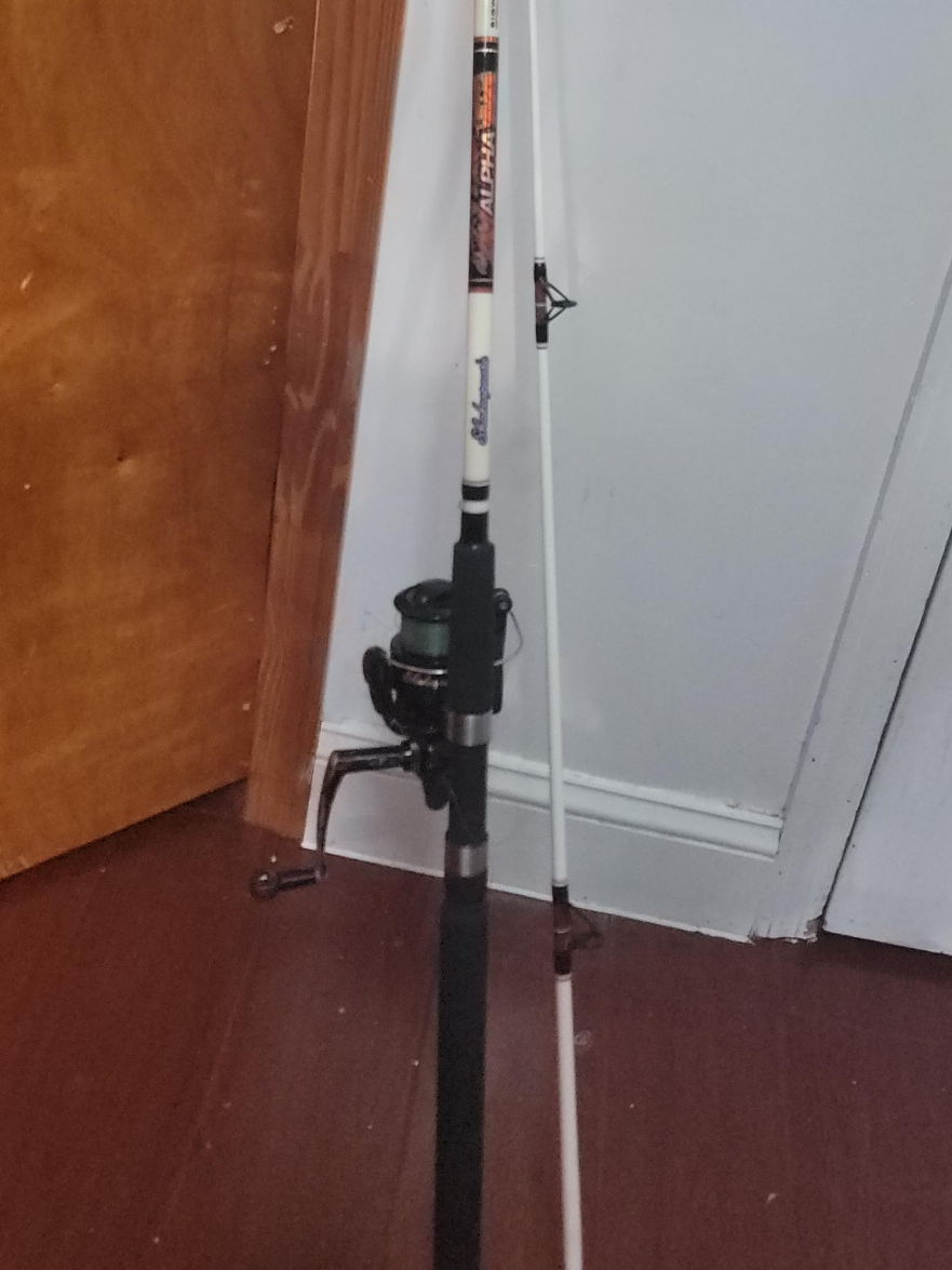 caña de pesca 8ft  usada pero en buena condiciones