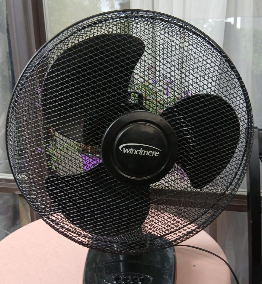 Windmere Black Table Fan thumbnail