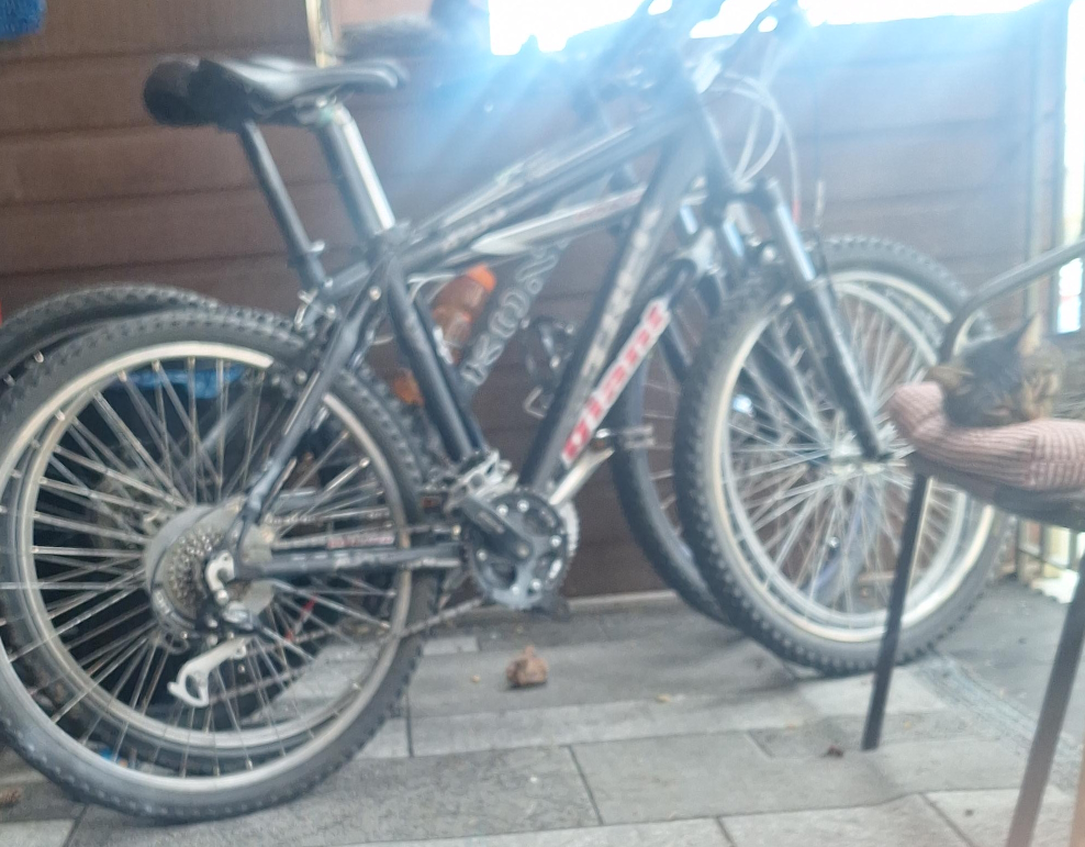 Giant Mountain Bike