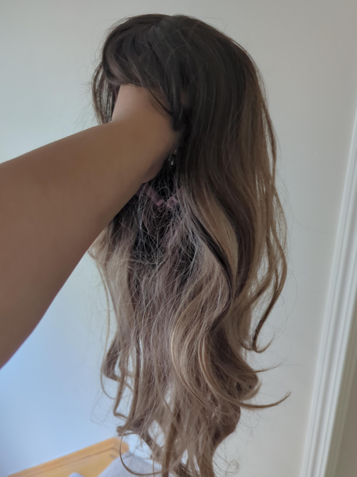 Wig - Brown and Blonde thumbnail
