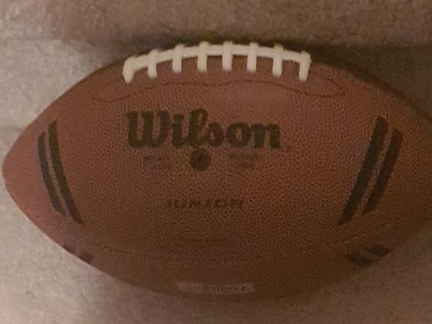 Wilson Junior Football thumbnail