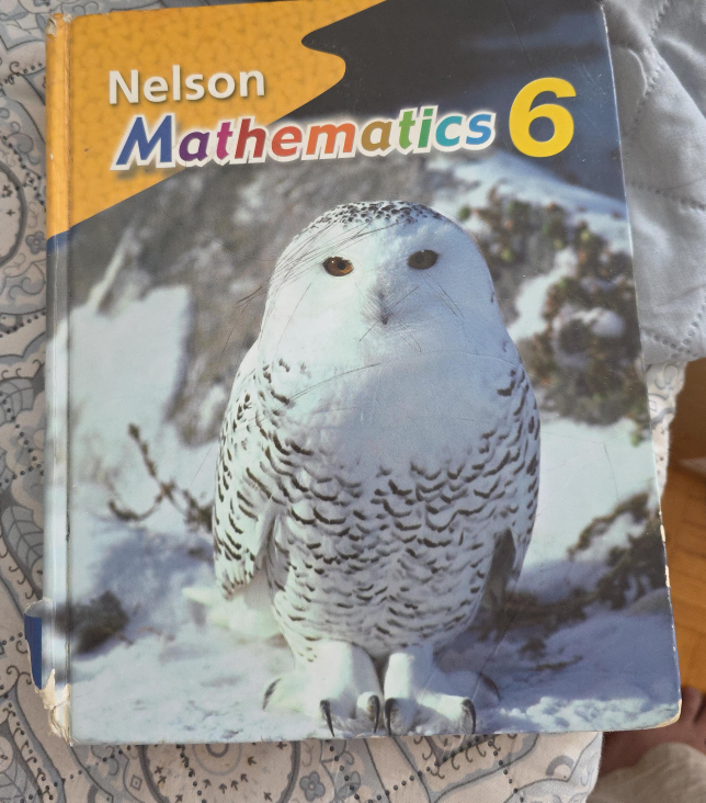 Nelson Mathematics 6 Textbook thumbnail