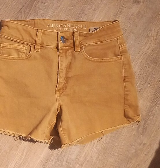 American Eagle Outfitters Shorts image indicator(1)