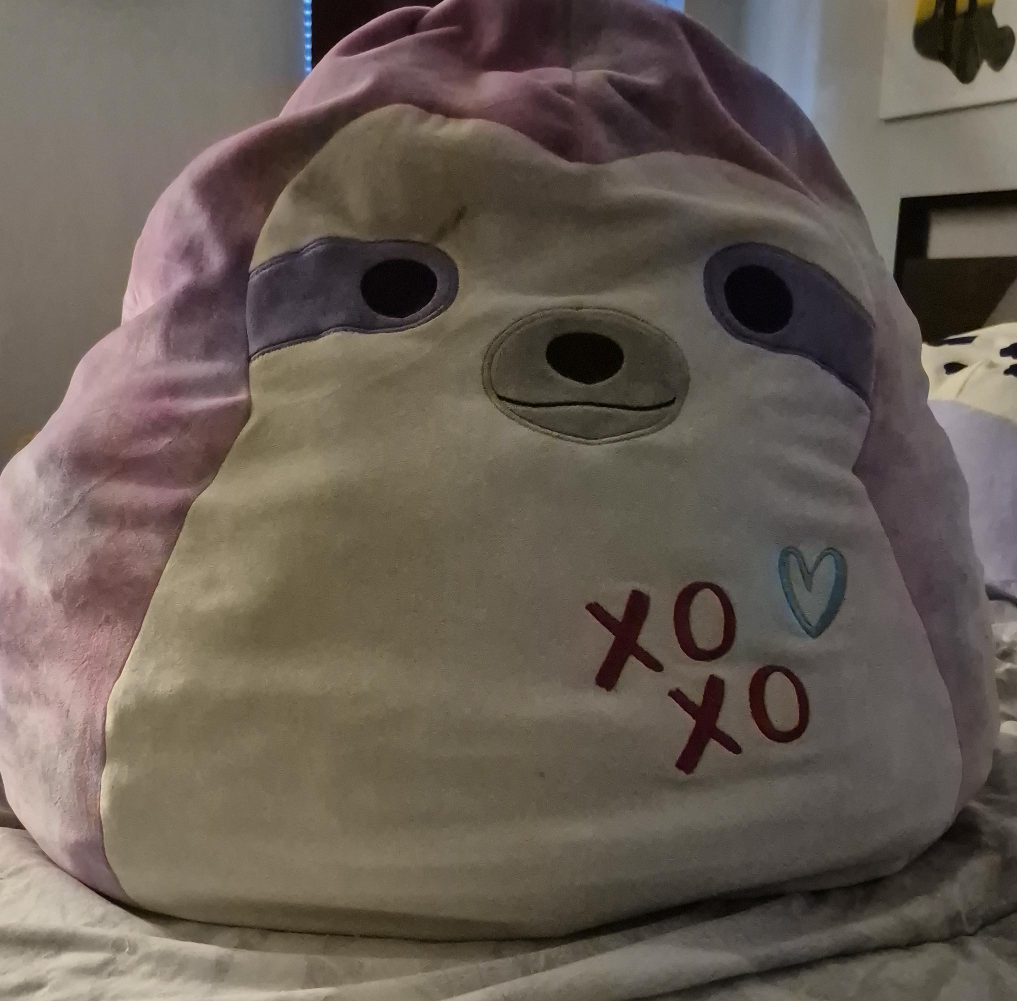 Squishmallow Sloth Plush - XOXO Design thumbnail