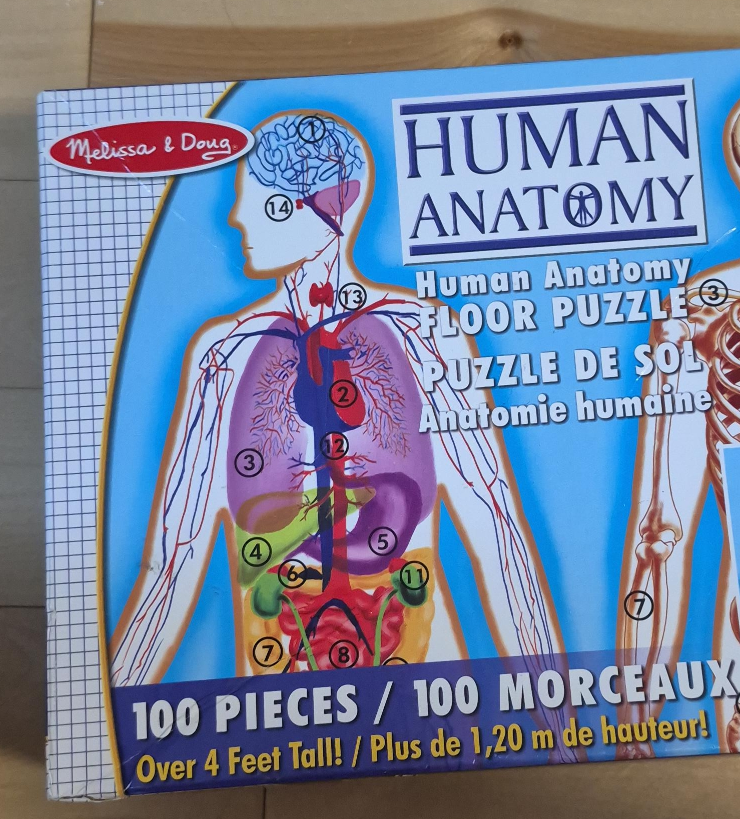 Melissa & Doug Human Anatomy Floor Puzzle - 100 Pieces thumbnail