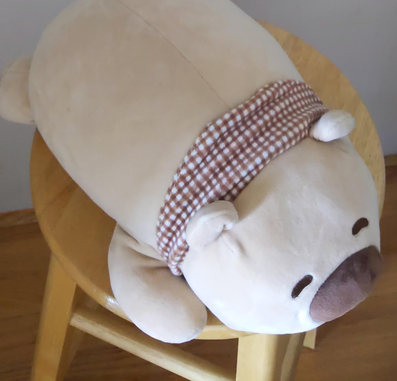 Bear Plushie with Scarf thumbnail