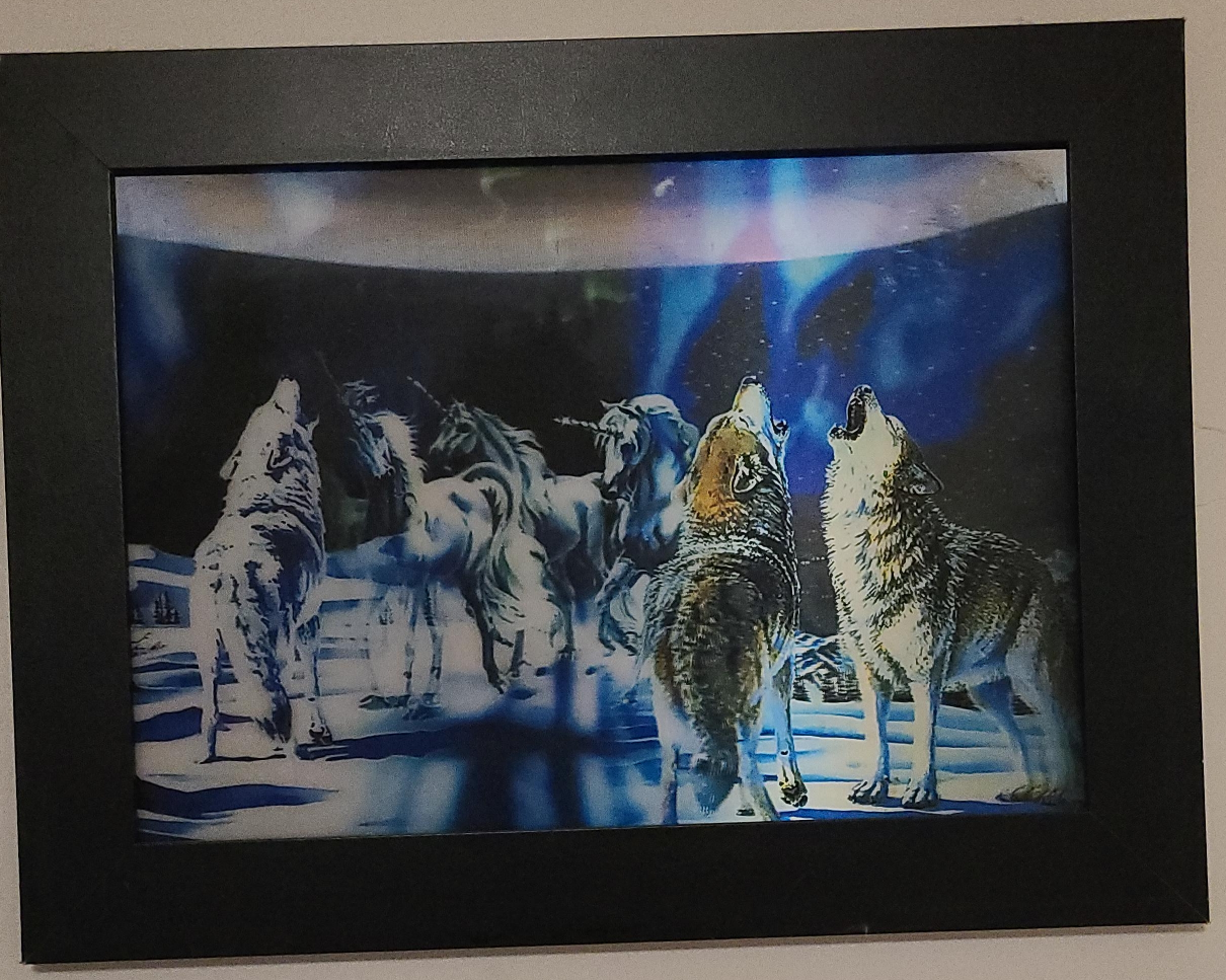 wolf and unicorn in Alaska thumbnail