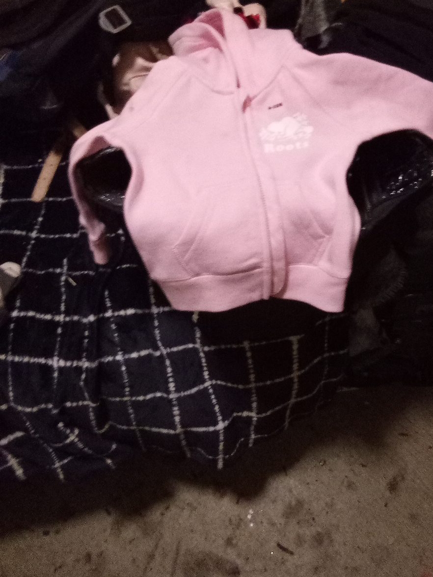 Roots Pink Zip-Up Hoodie thumbnail