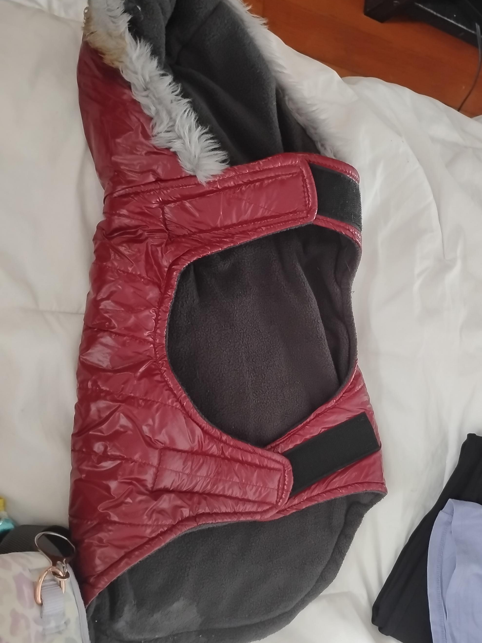 Dog coat, burgundy thumbnail
