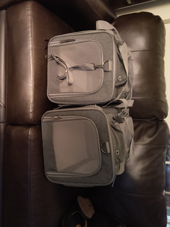 Gray Pet Carrier - Set of 2 thumbnail