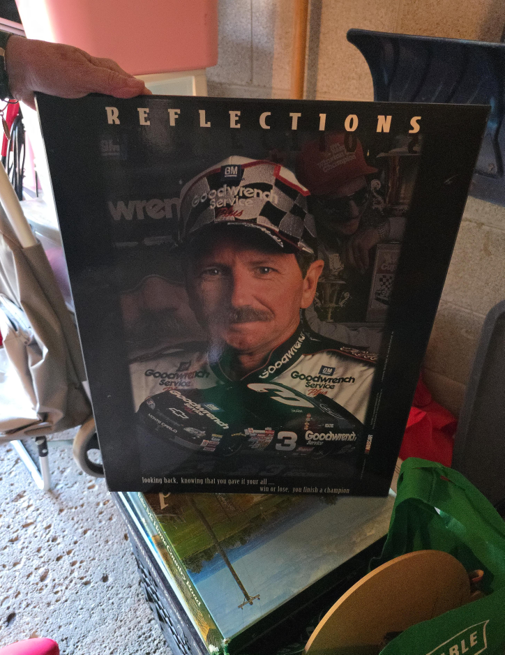 Dale Earnhardt Reflections Poster thumbnail