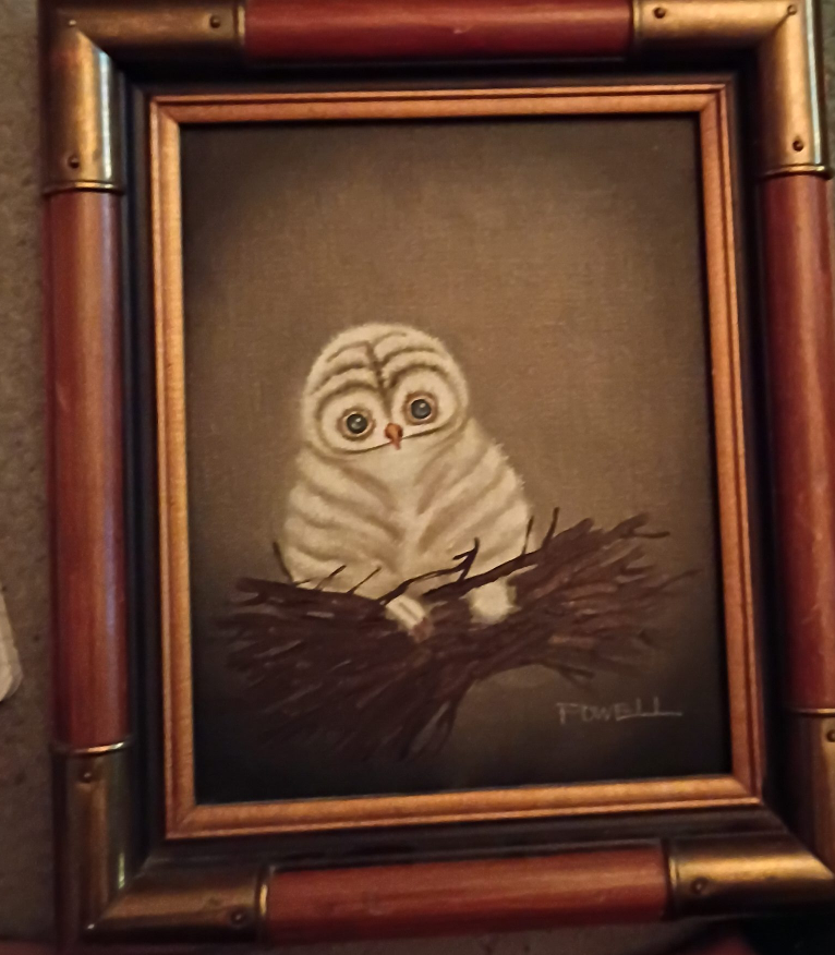 Framed Owl Painting