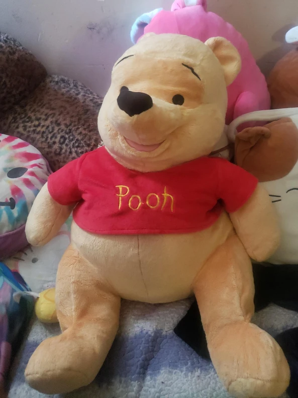 Winnie the Pooh Plush Toy