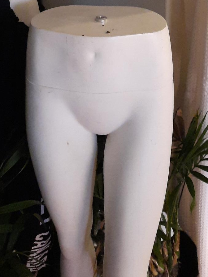Mannequin Torso thumbnail