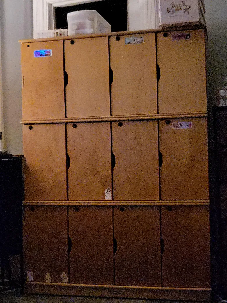 Wooden Cabinet with Doors